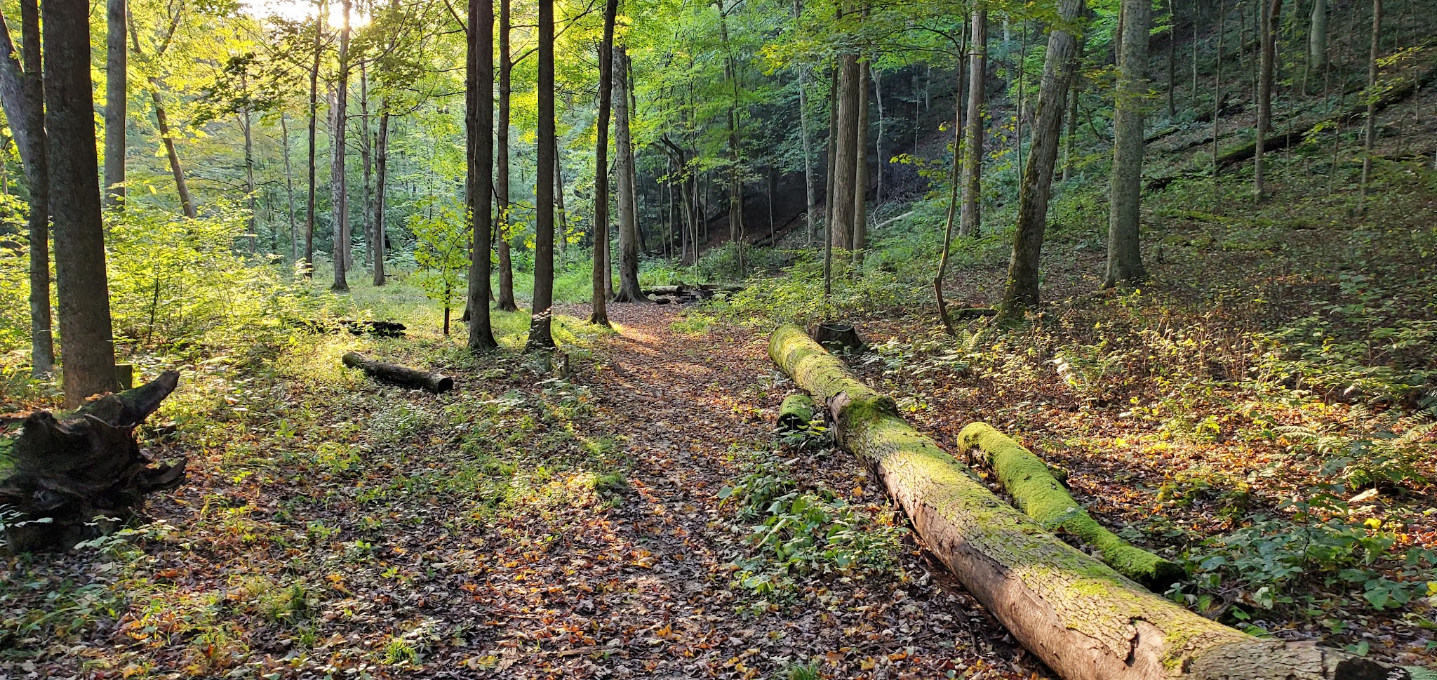 Mohican 2 Campground