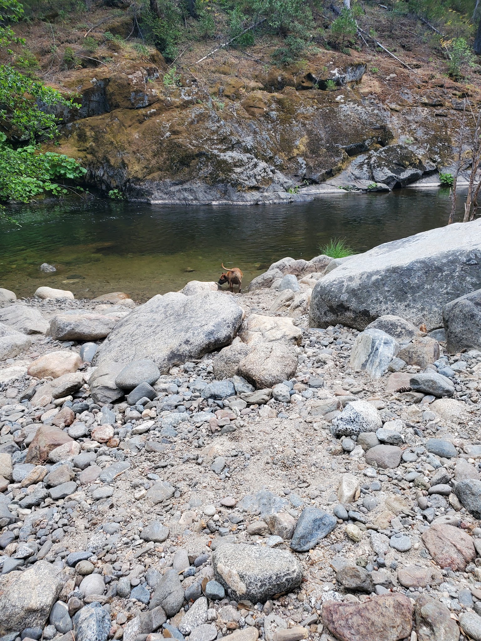 Mokelumne Campground