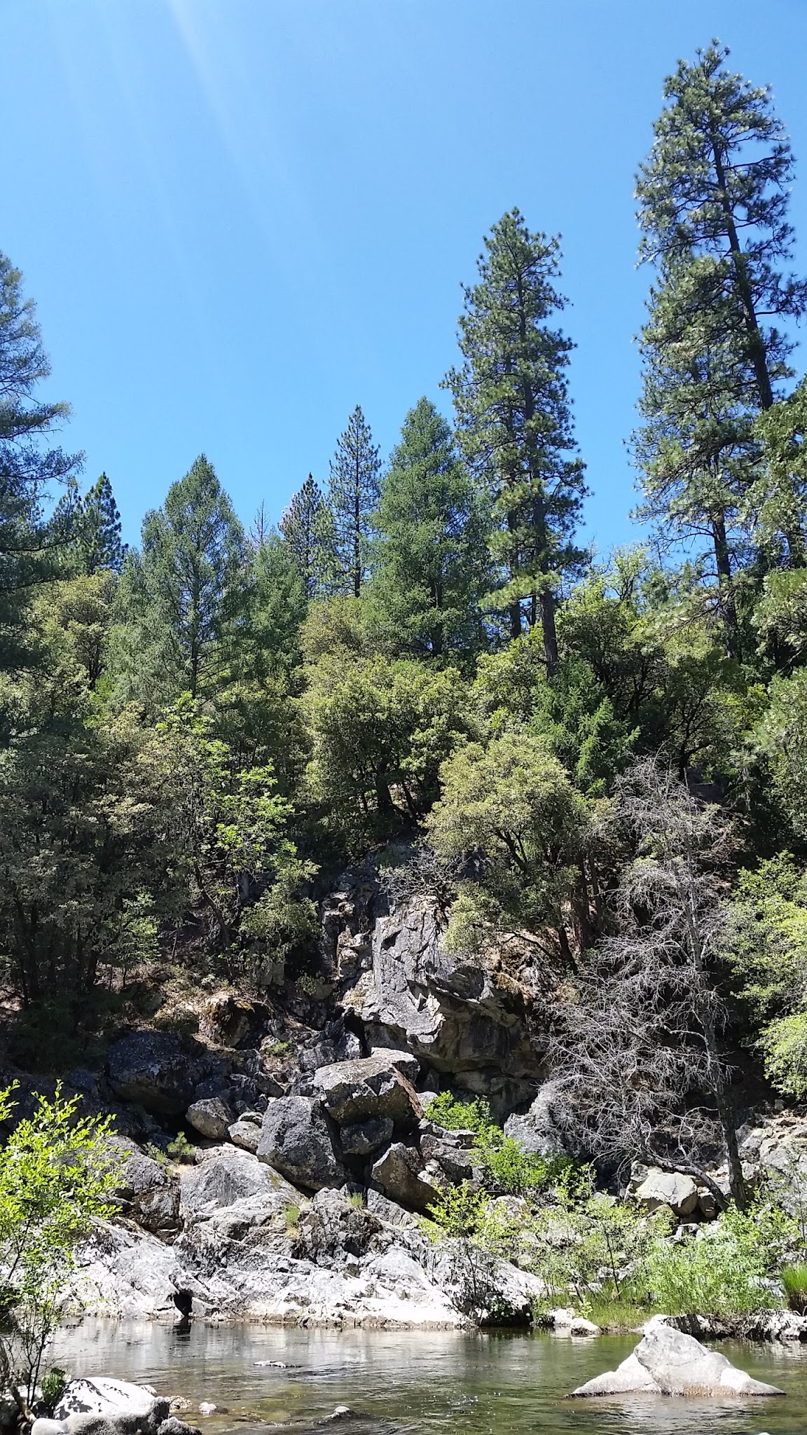 Mokelumne Campground