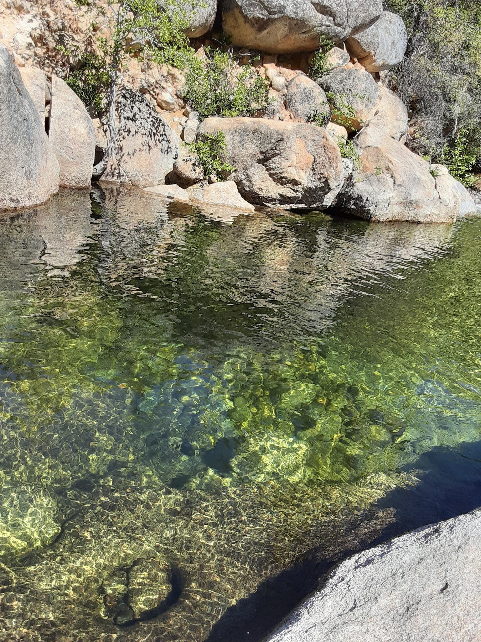 Mokelumne Campground