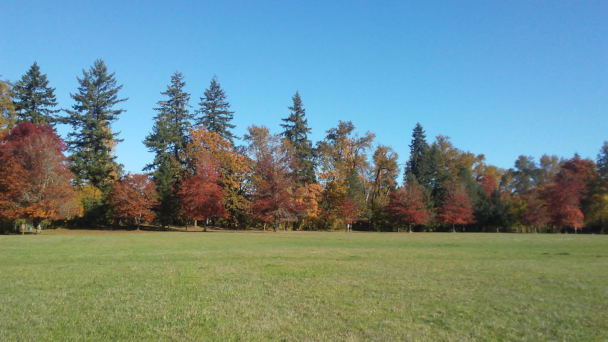 Molalla River State Park