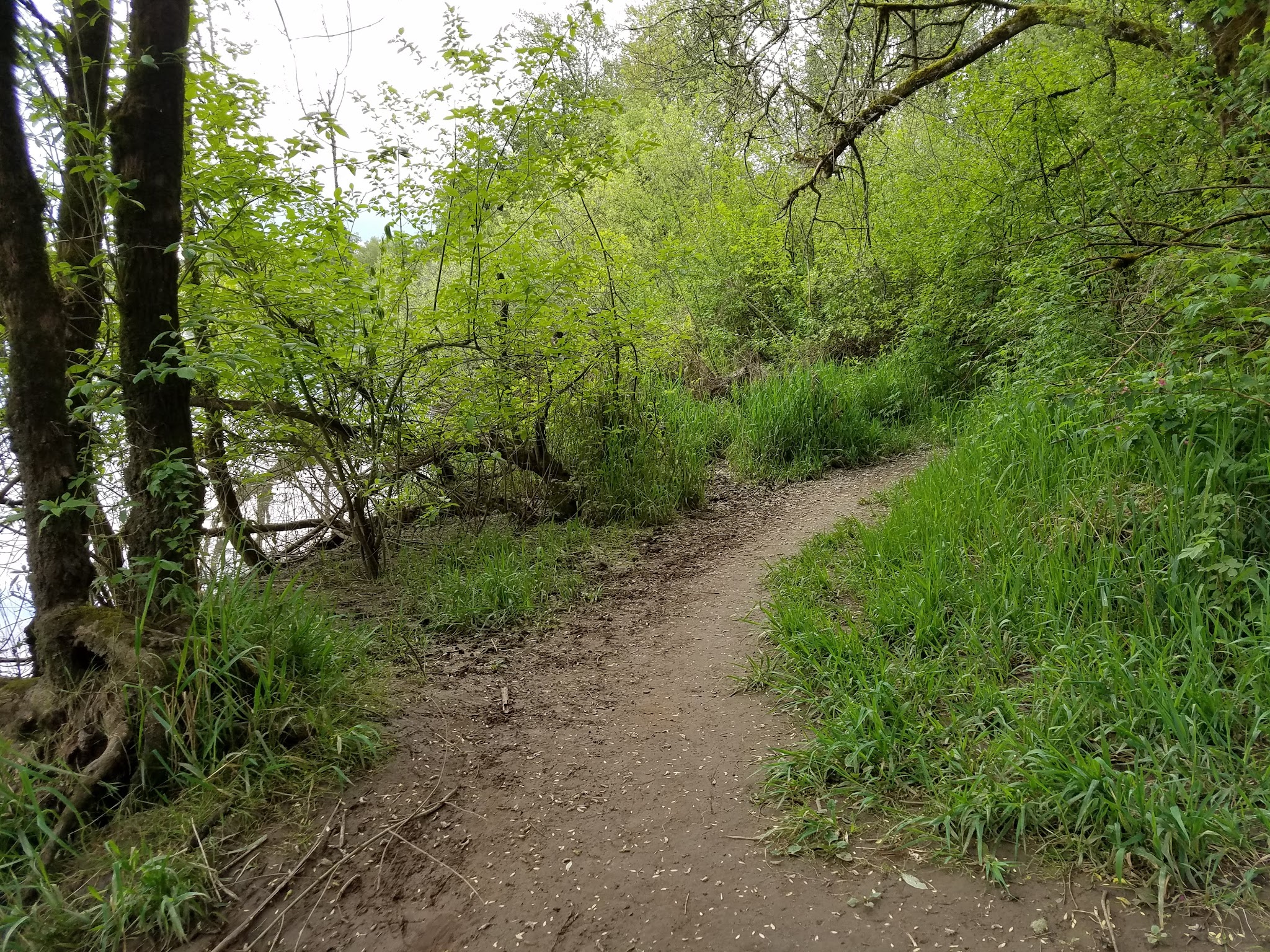Molalla River State Park