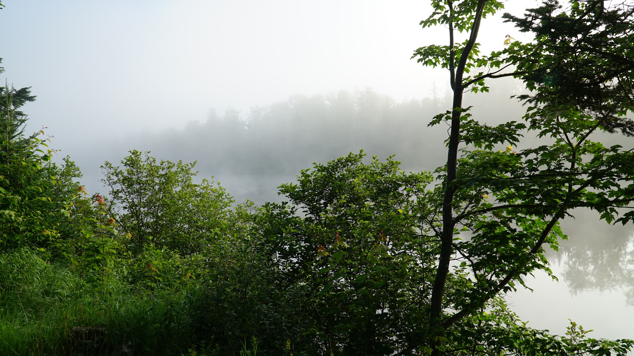 Mollidgewock State Park