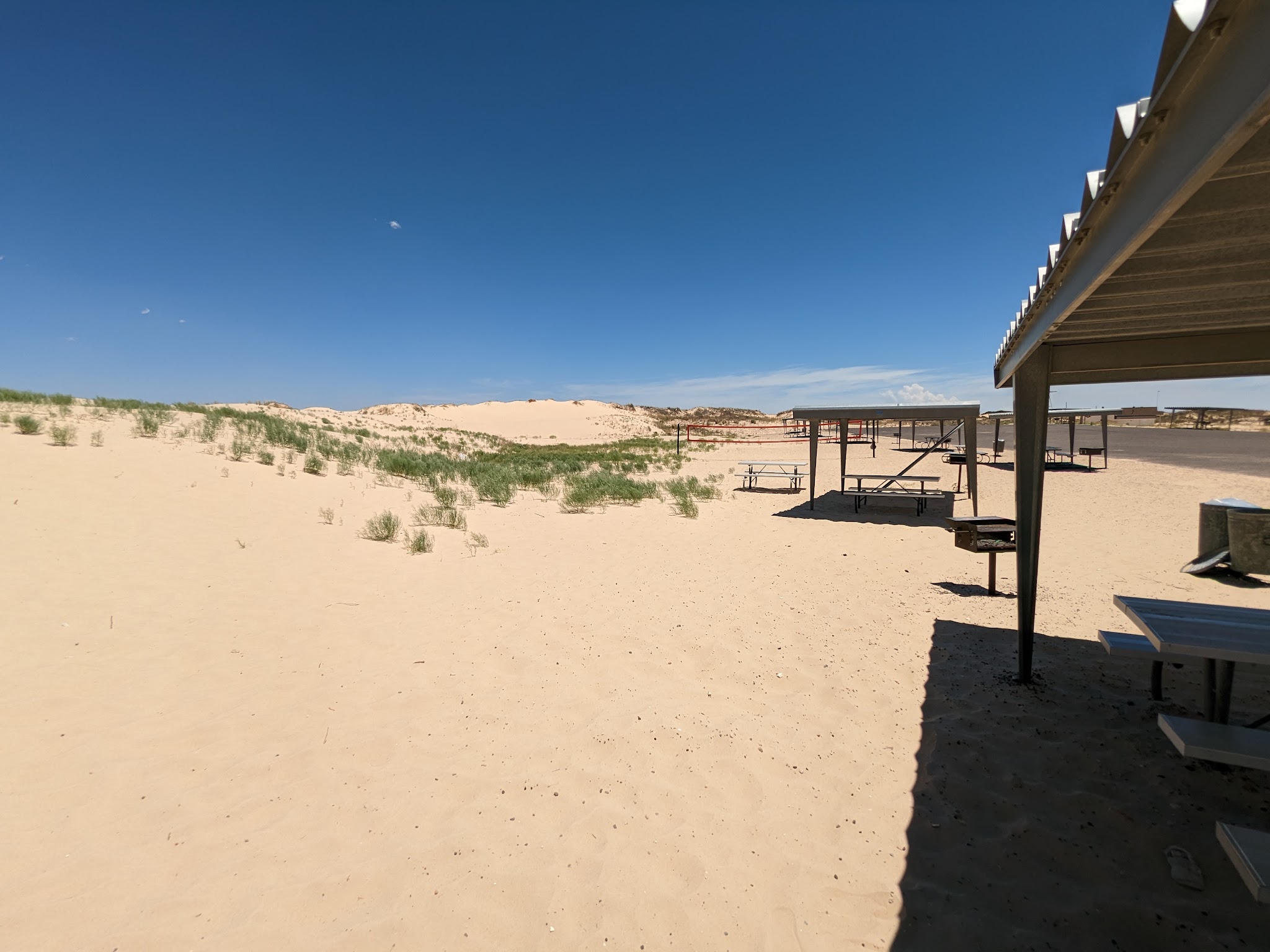 Monahans Sandhills State Park