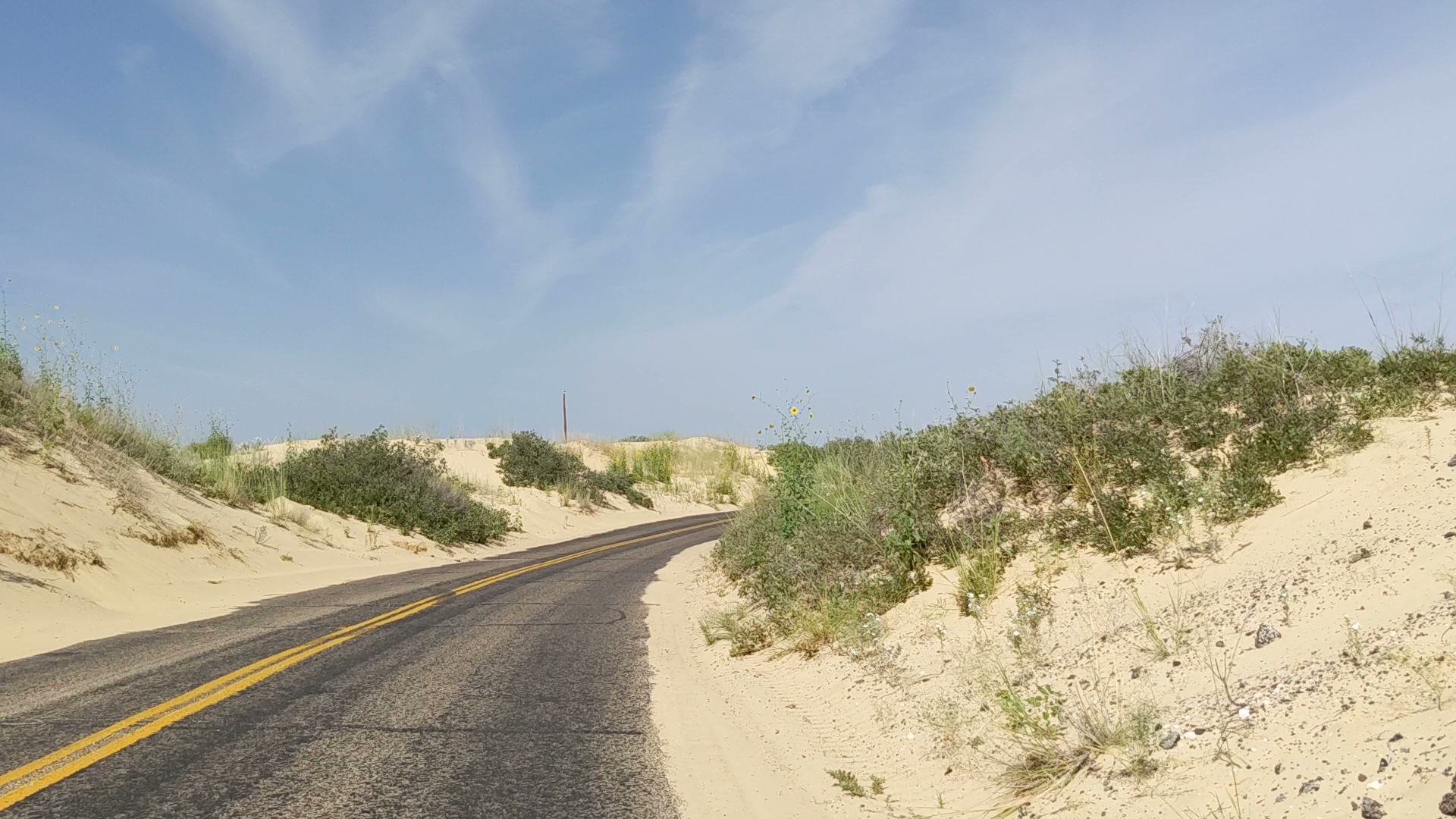 Monahans Sandhills State Park