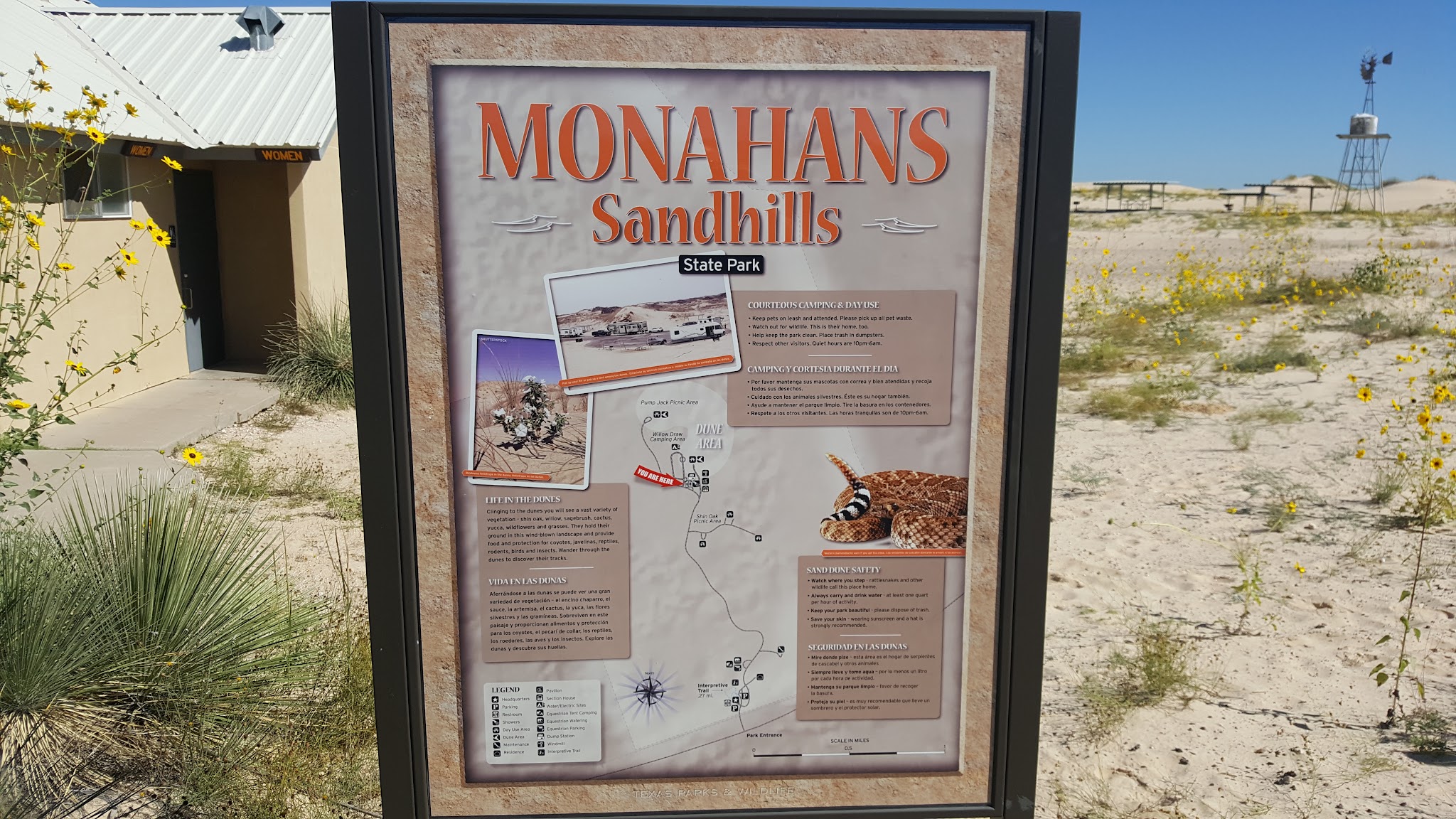 Monahans Sandhills State Park