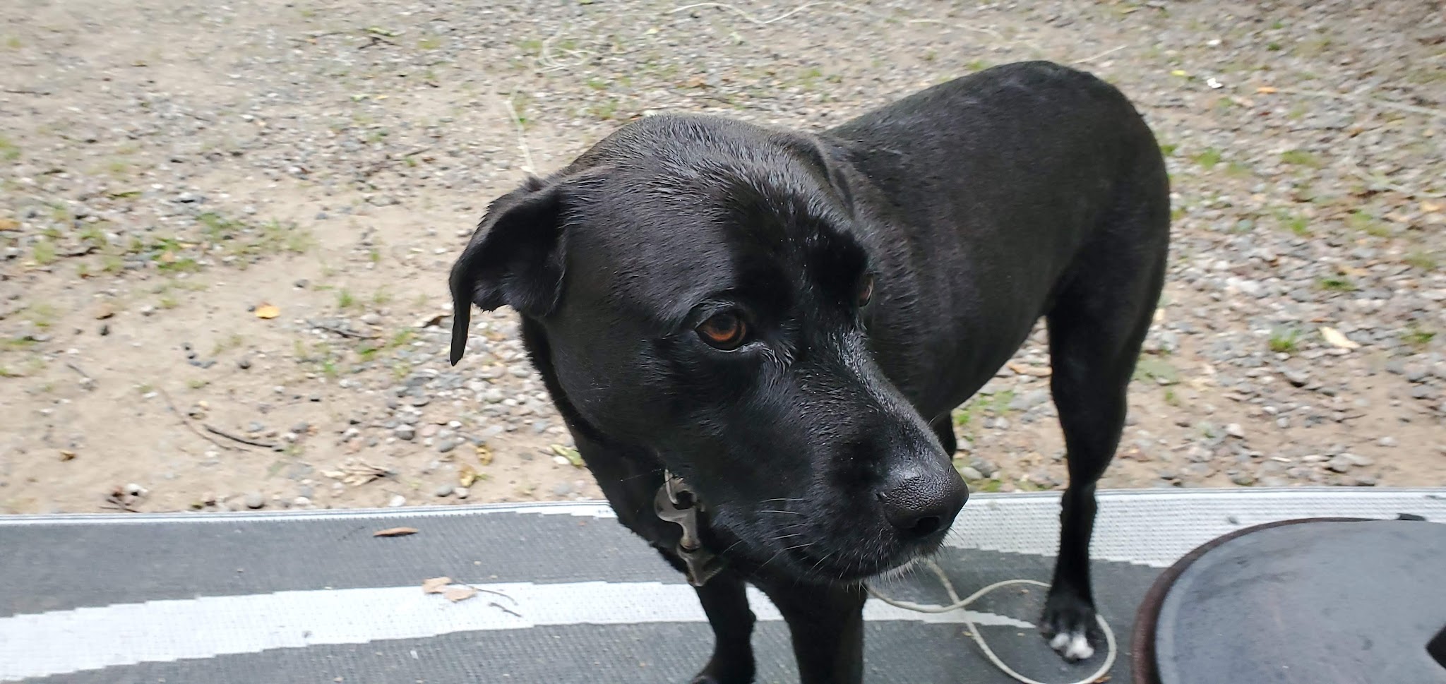 Monocle Lake Campground