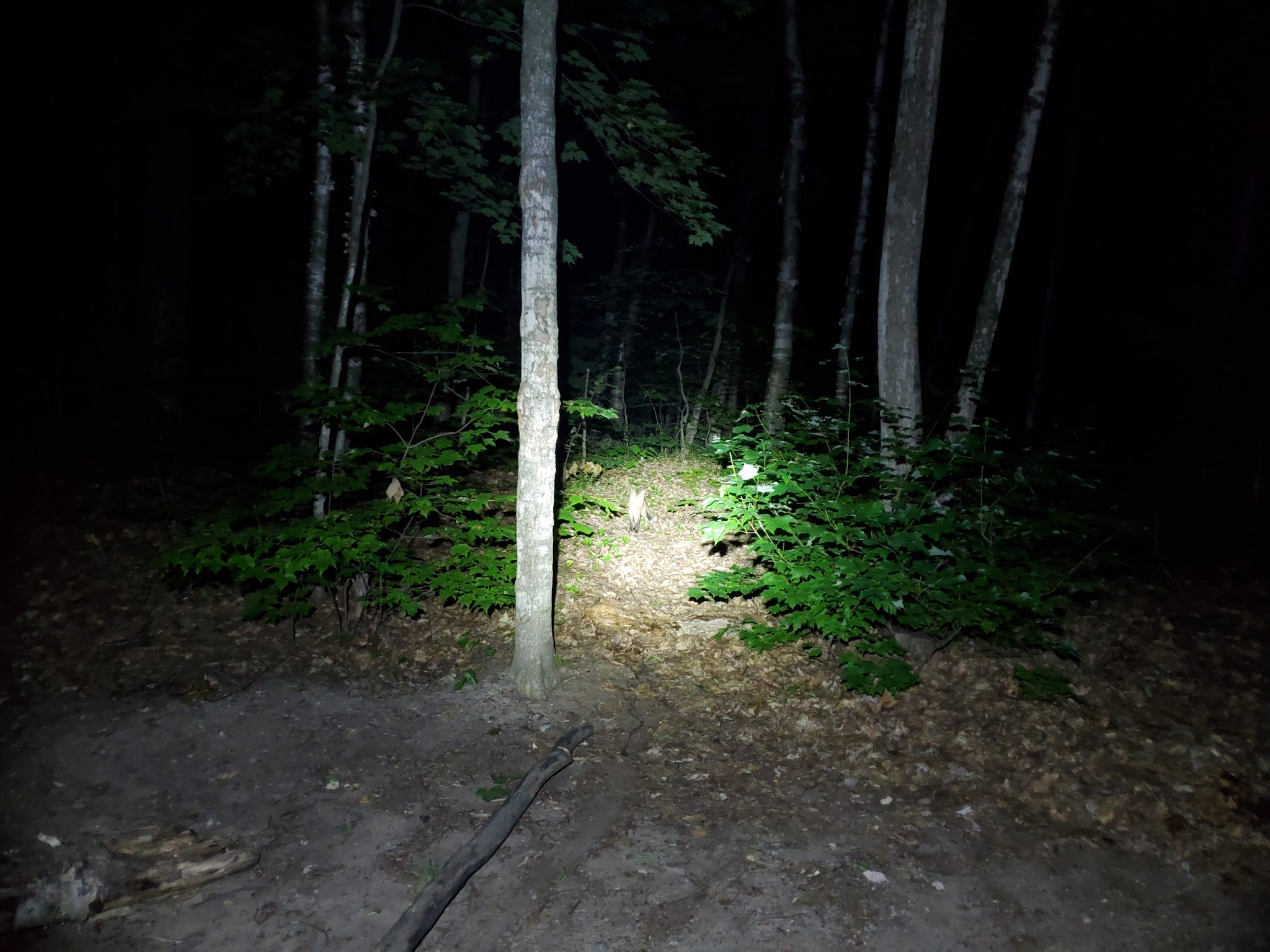 Monocle Lake Campground