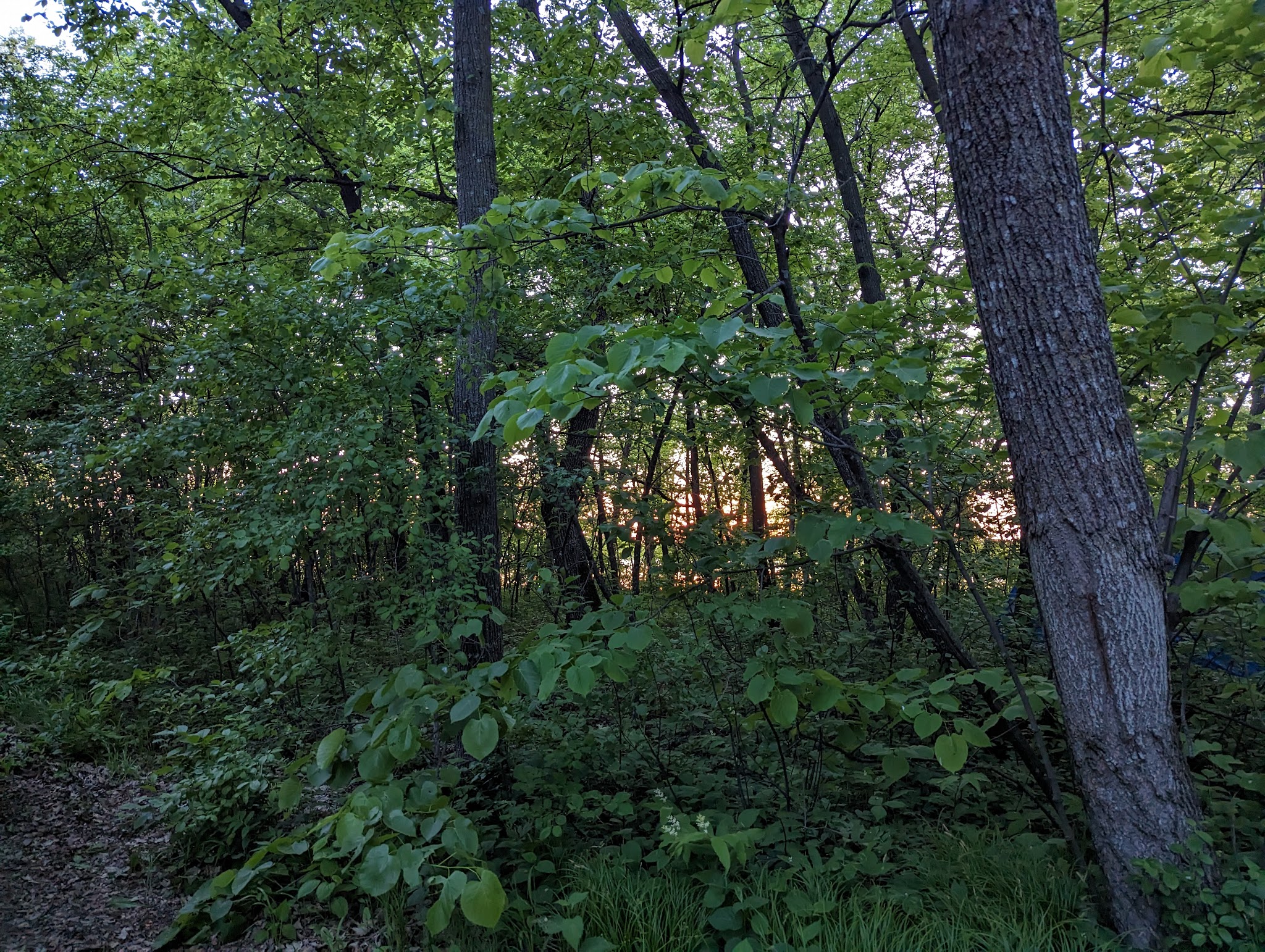 Monson Lake Campground