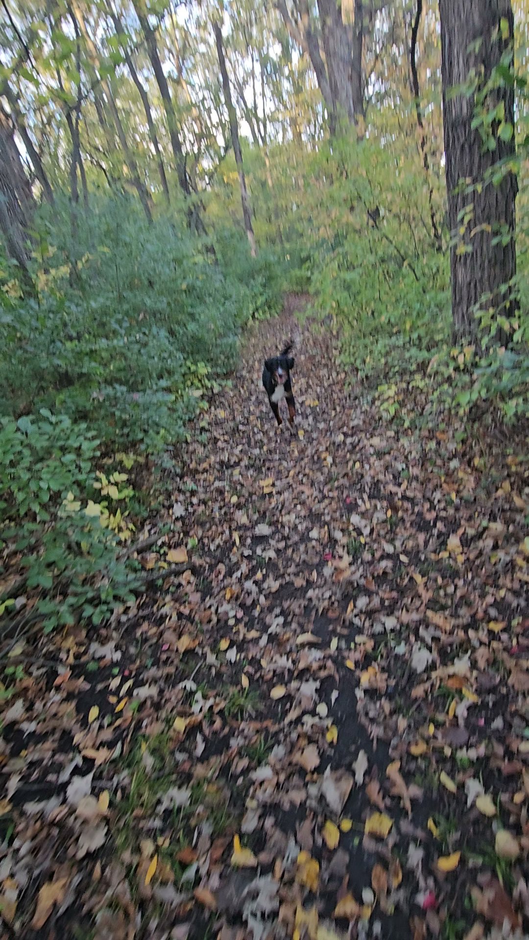 Monson Lake Campground