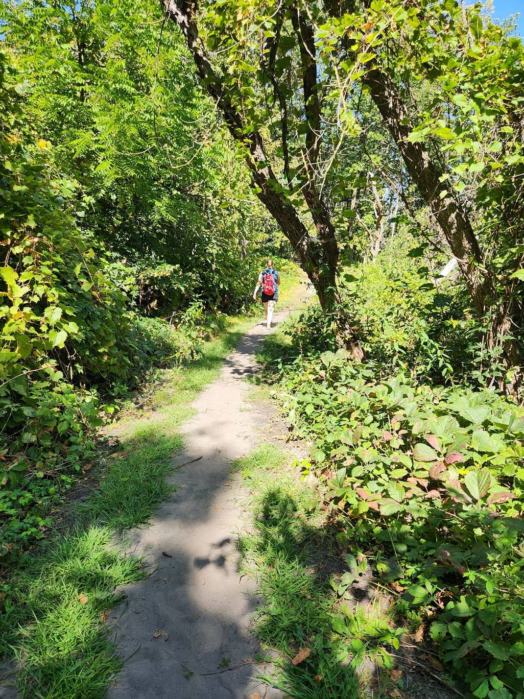 Monson Lake Campground