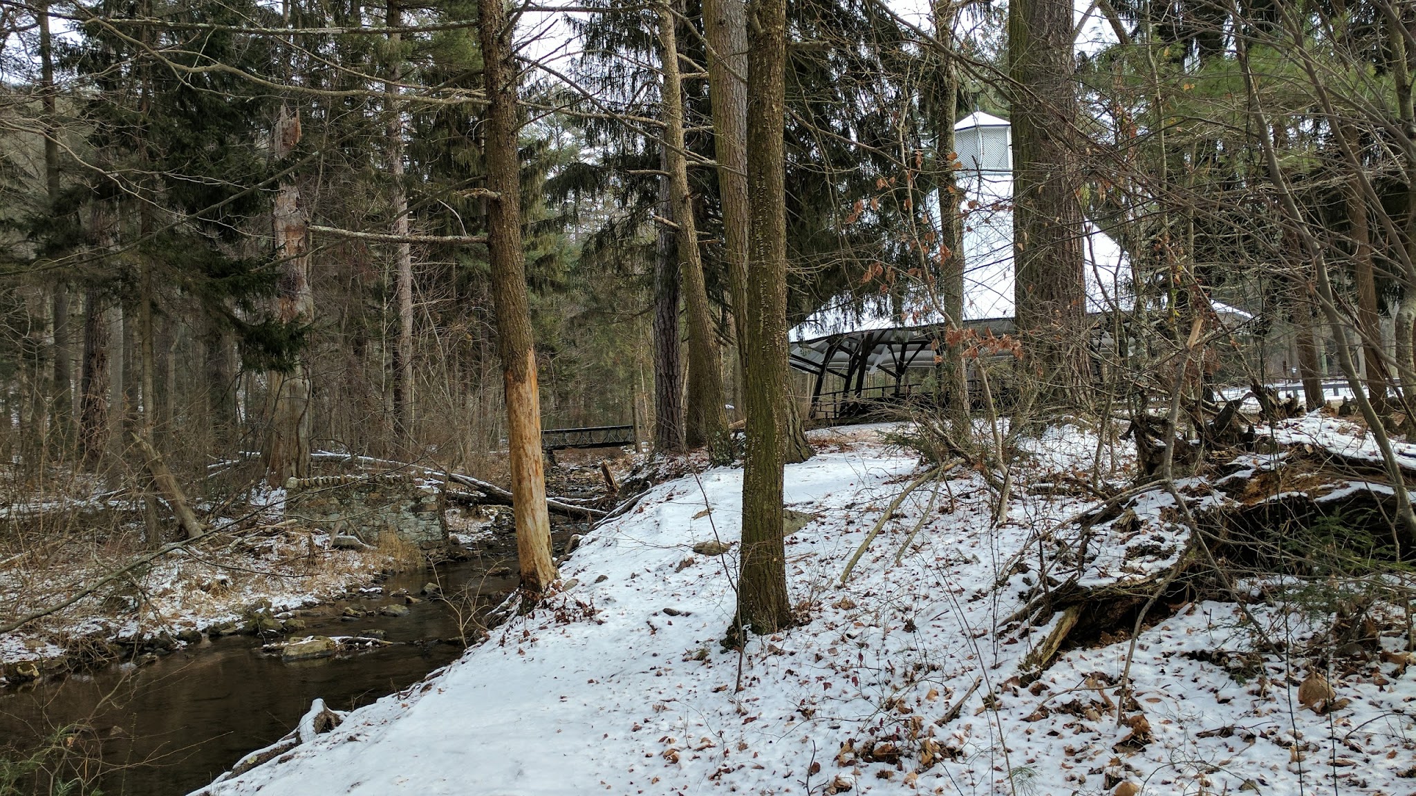 Mont Alto State Park