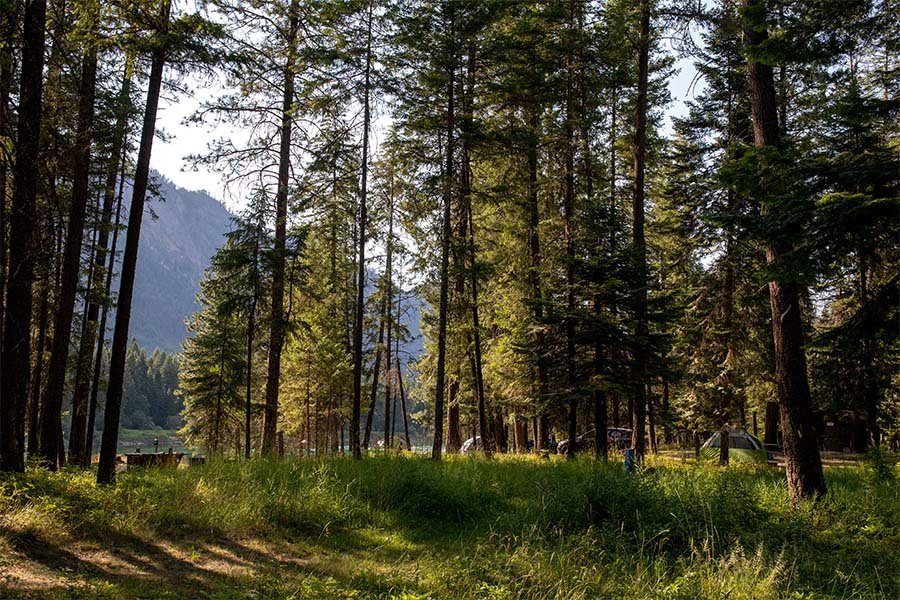 Thompson Falls State Park