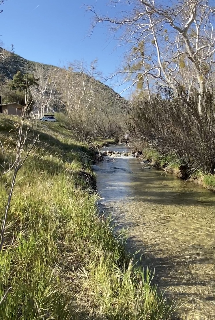 Monte Cristo Campground