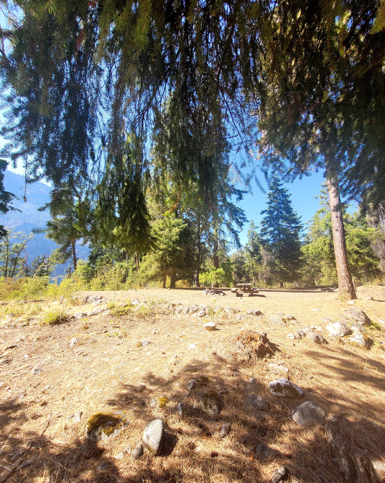 Moore Point Campground