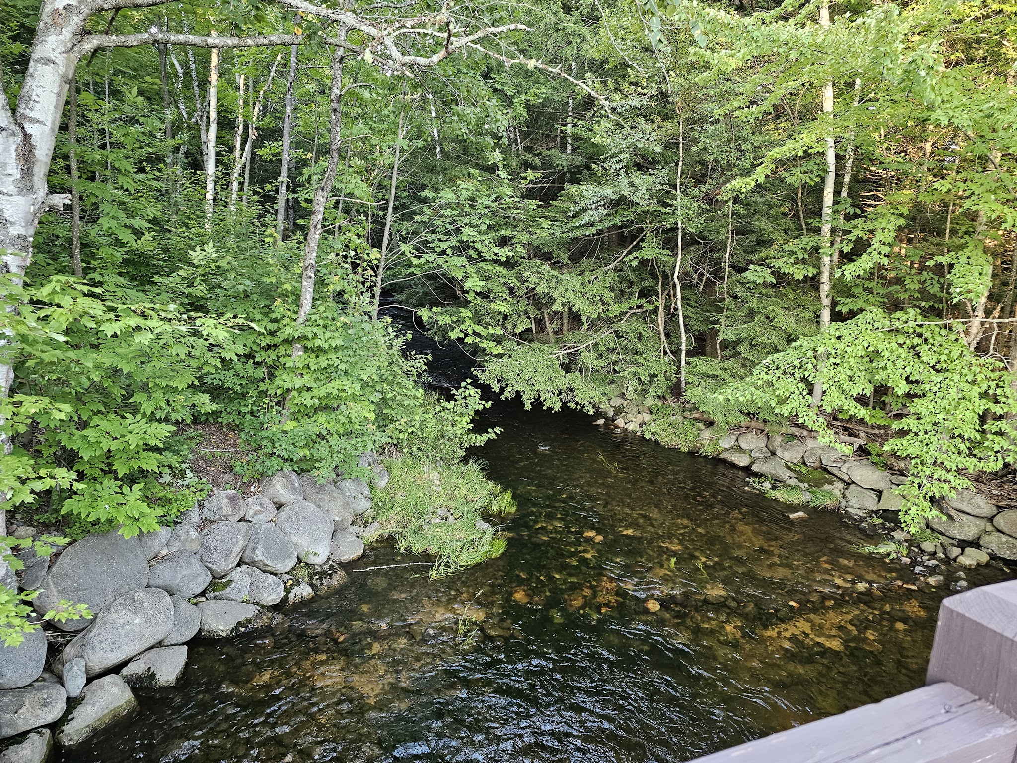 Moose Brook State Park