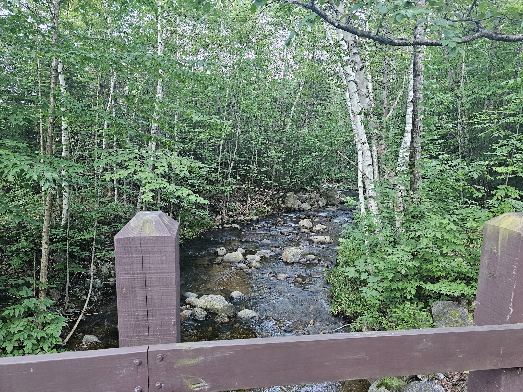 Moose Brook State Park