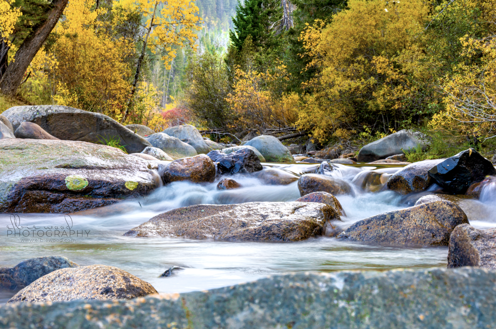 Moose Creek Campground