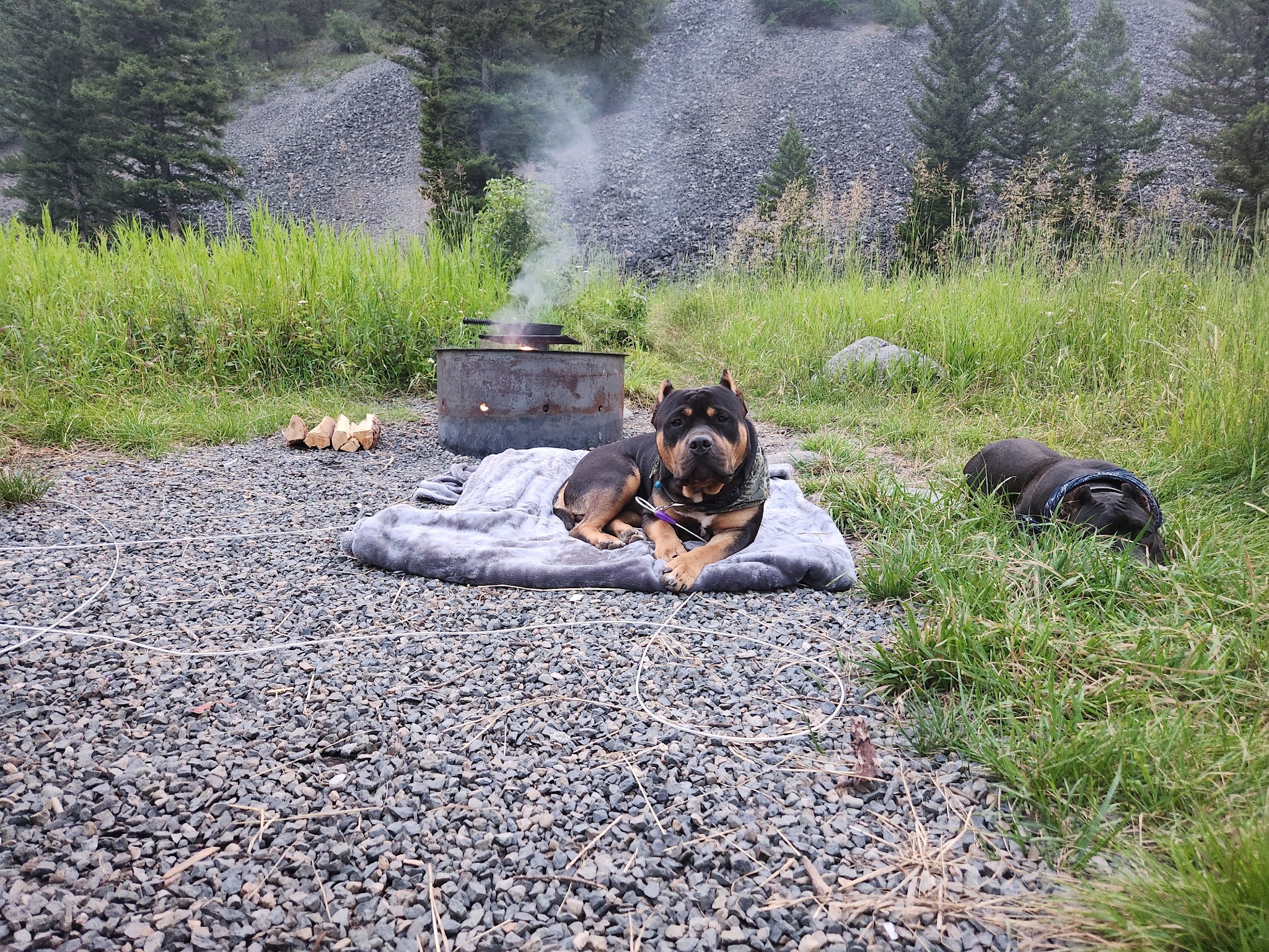 Moose Creek Campground