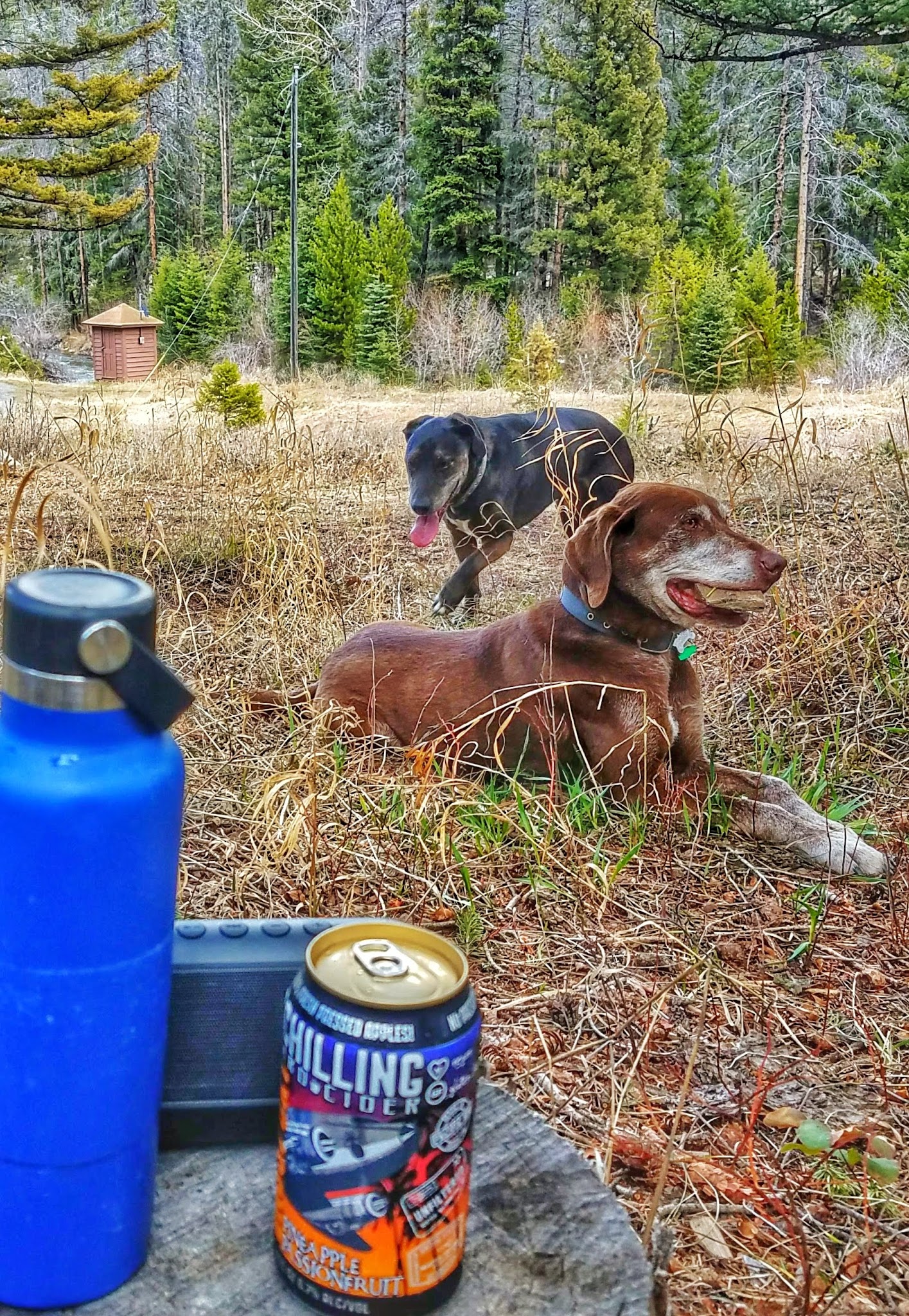 Moose Creek Campground