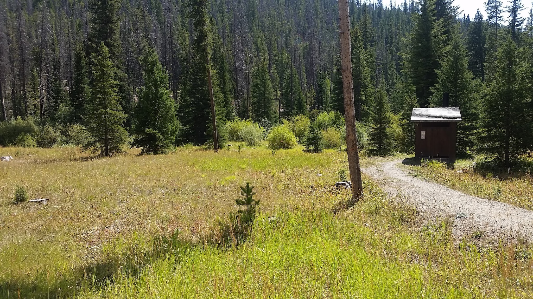 Moose Creek Campground - Little Belt Mountains