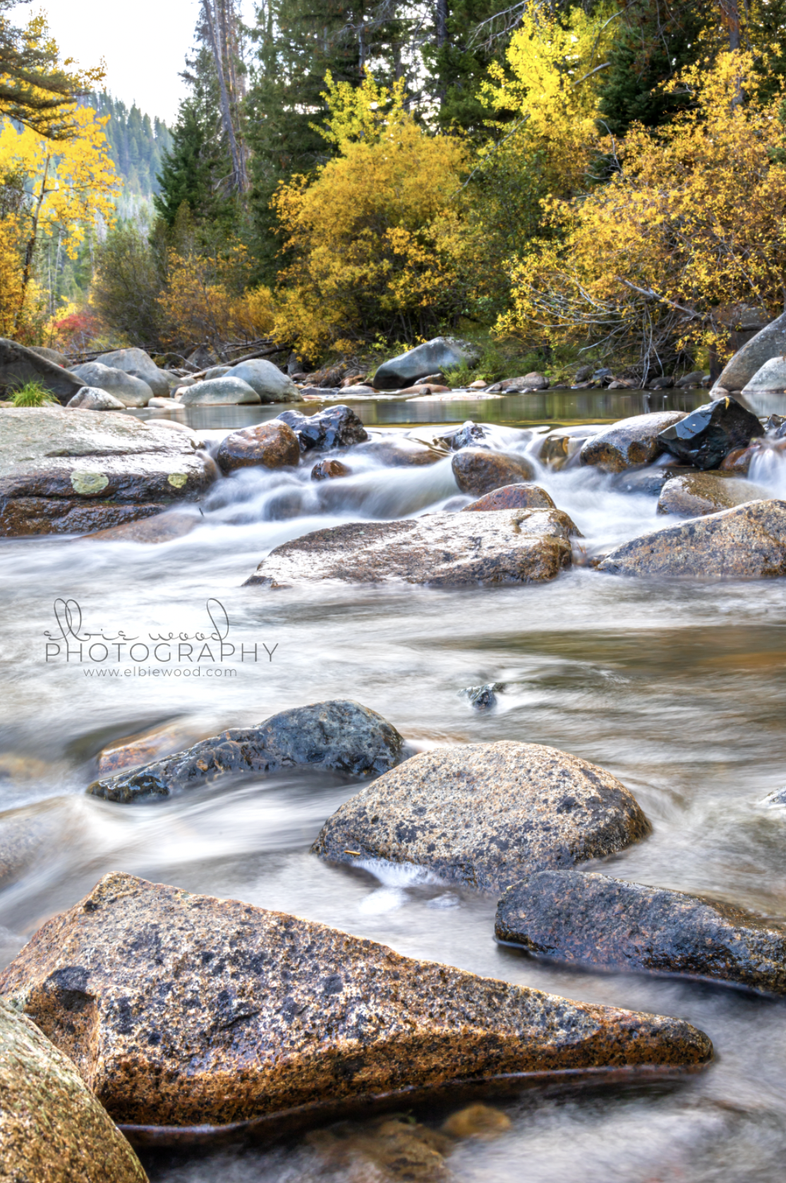 Moose Creek Campground