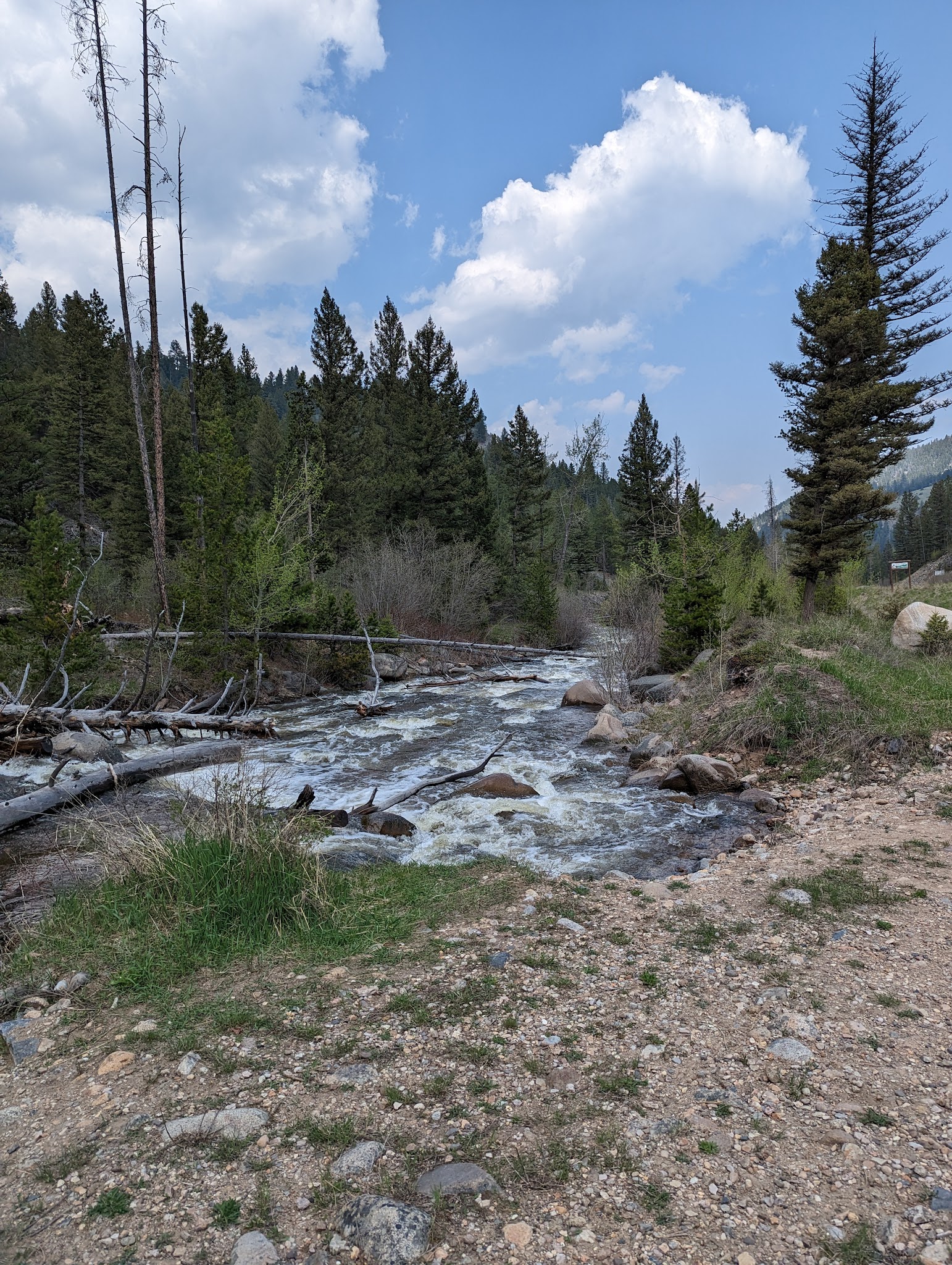 Moose Creek Campground