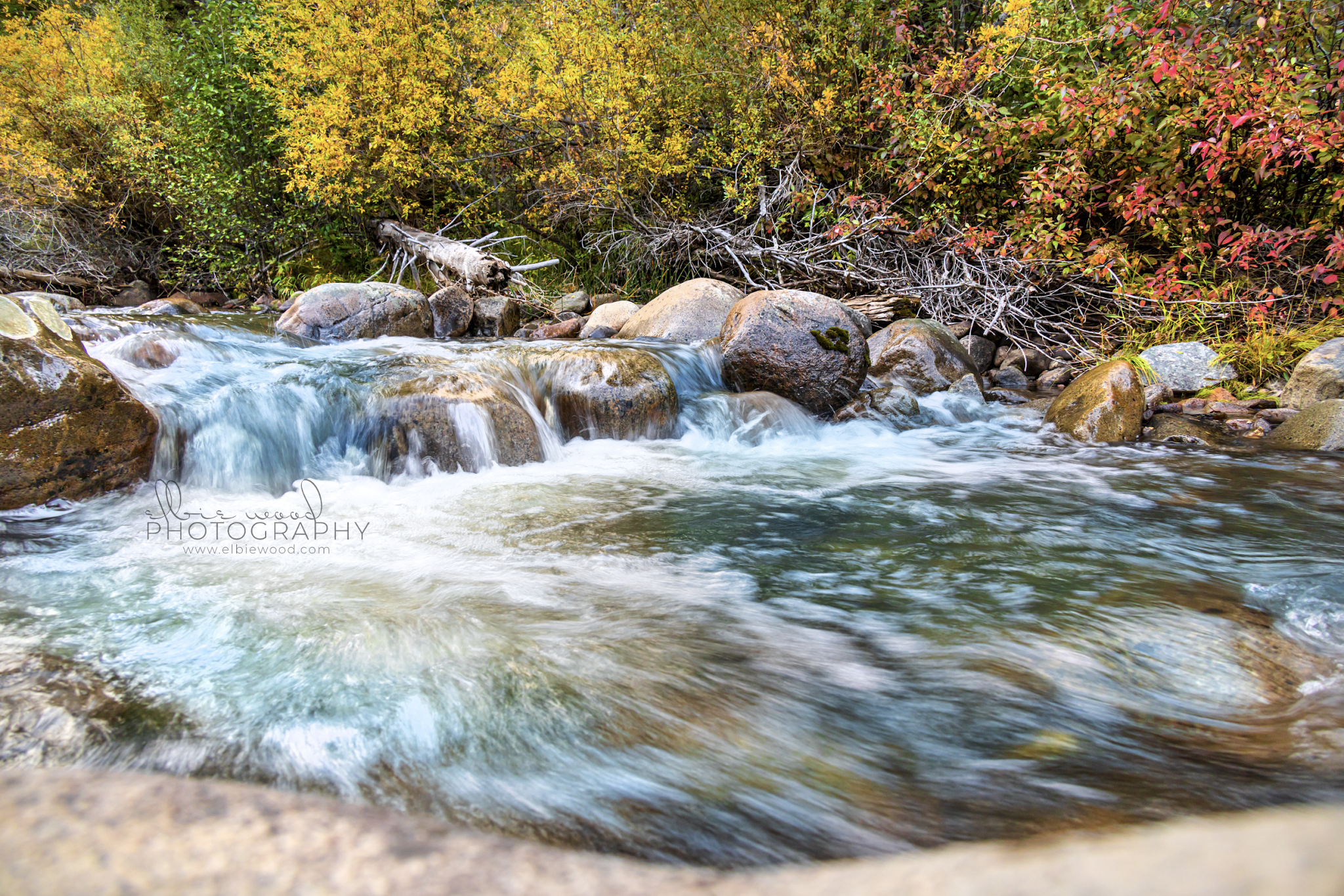 Moose Creek Campground