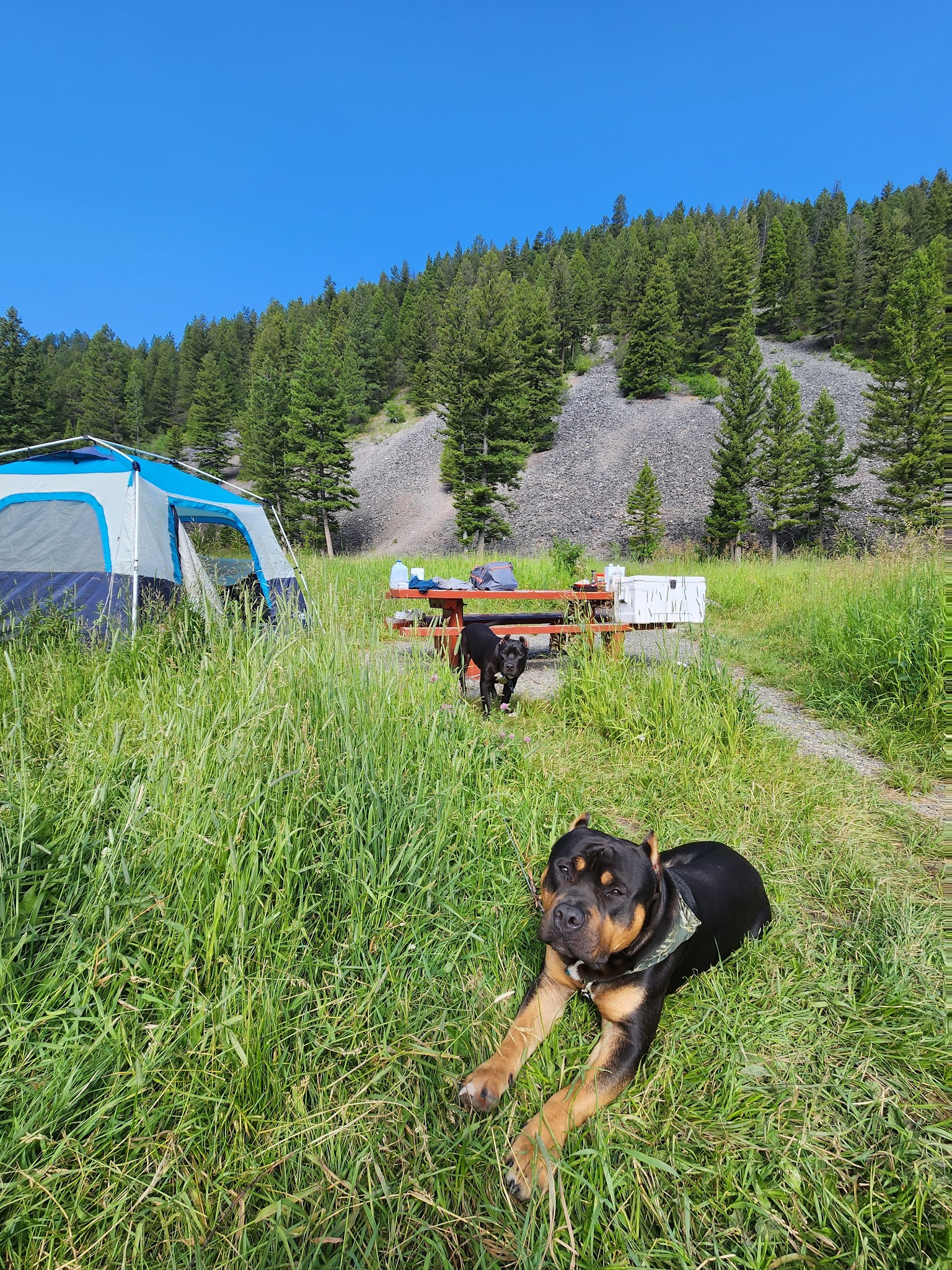 Moose Creek Campground