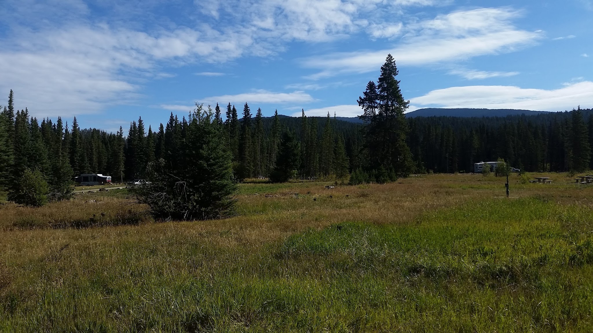 Moose Creek Campground - Little Belt Mountains