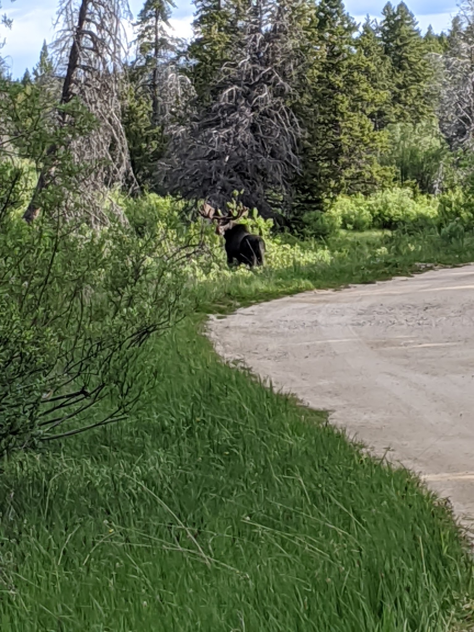 East Fork Campground
