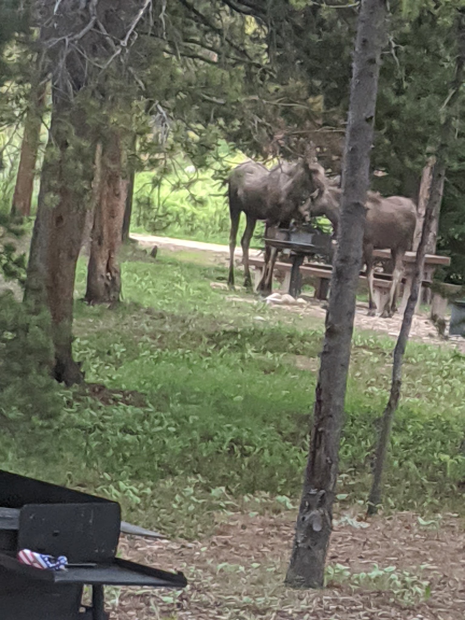 East Fork Campground