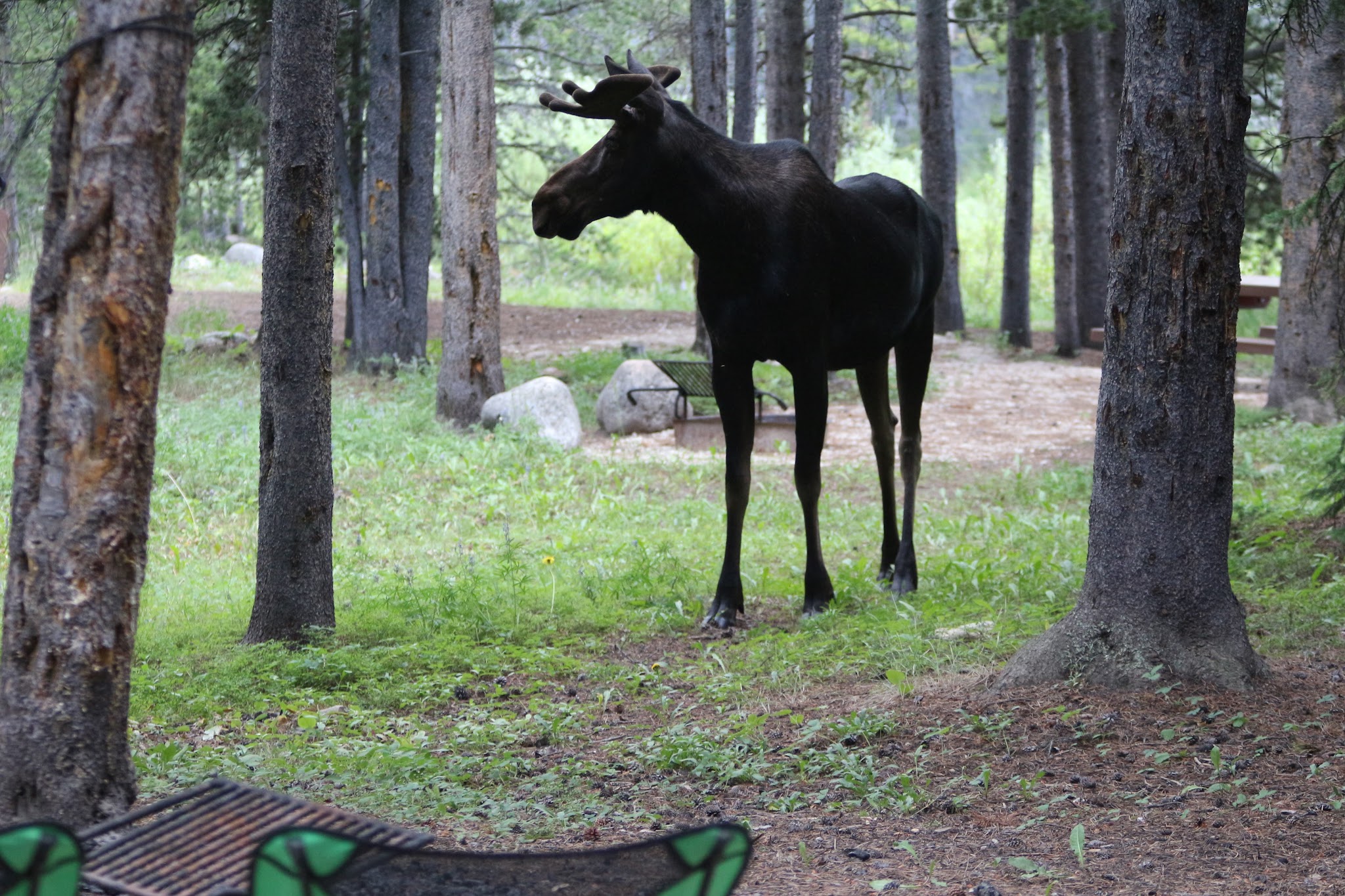 East Fork Campground