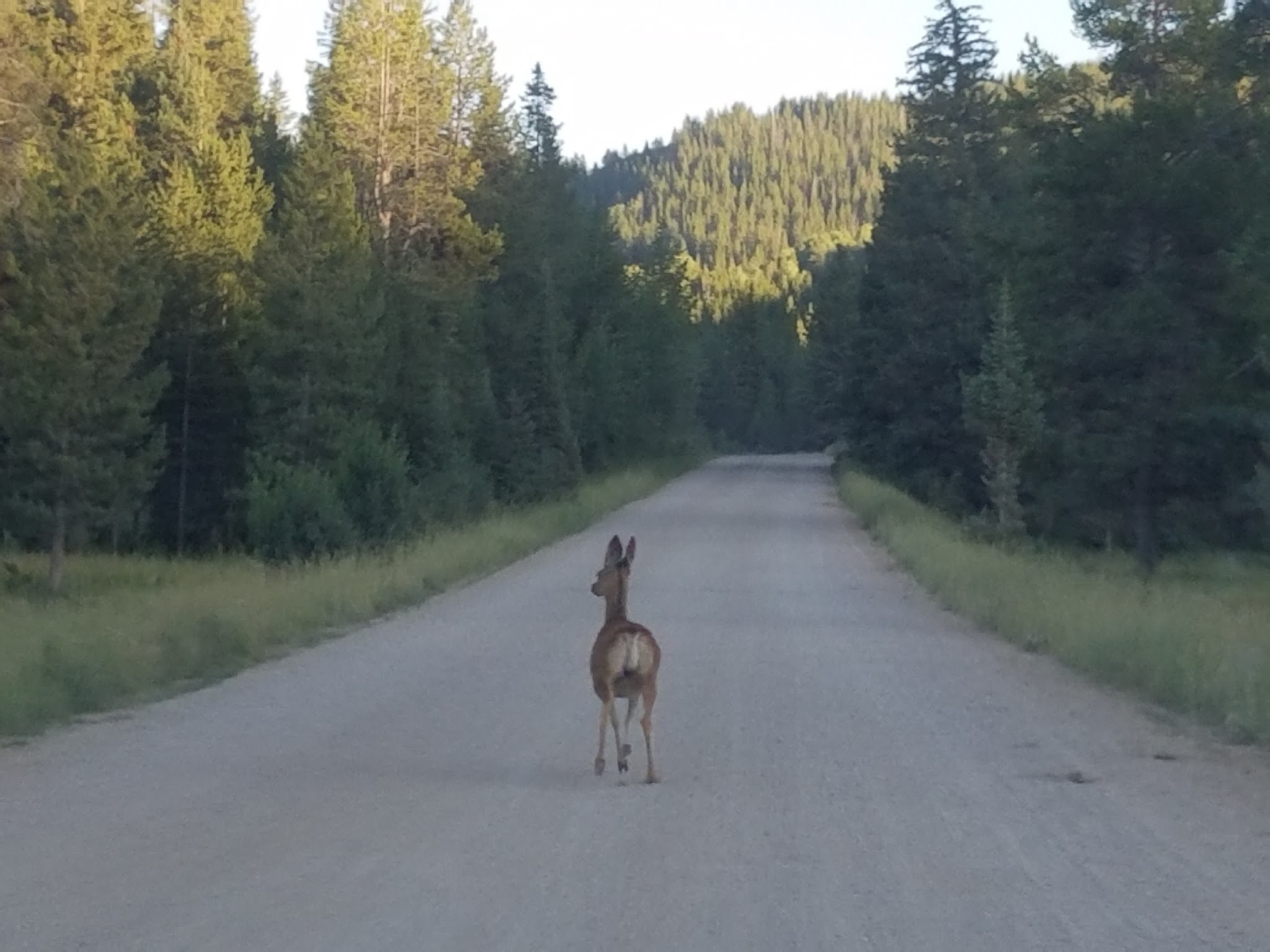 Moose Flat Campground