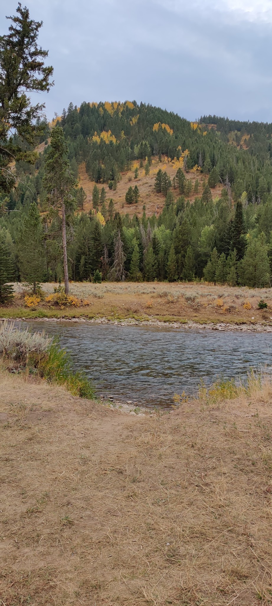 Moose Flat Campground