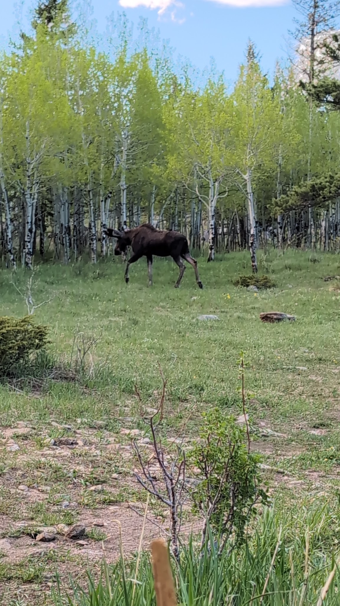 Gordon Gulch Dispersed Camping Area