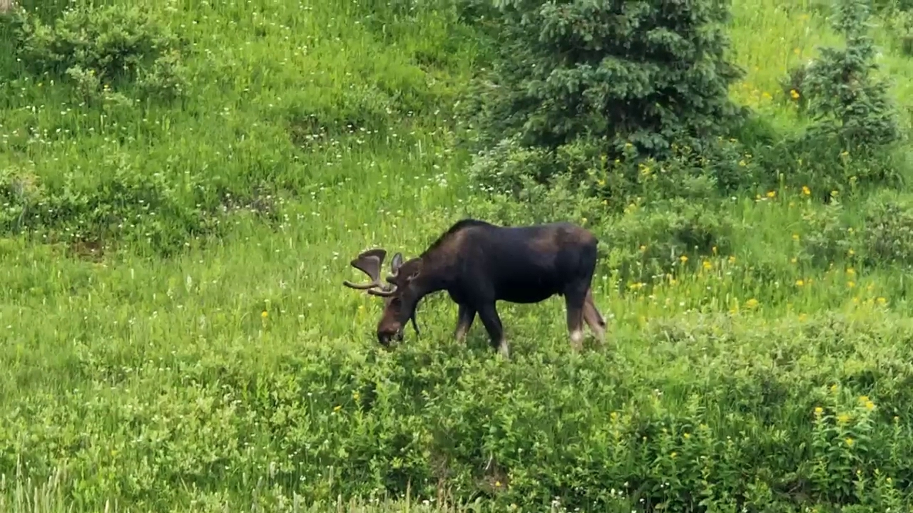 State Forest State Park