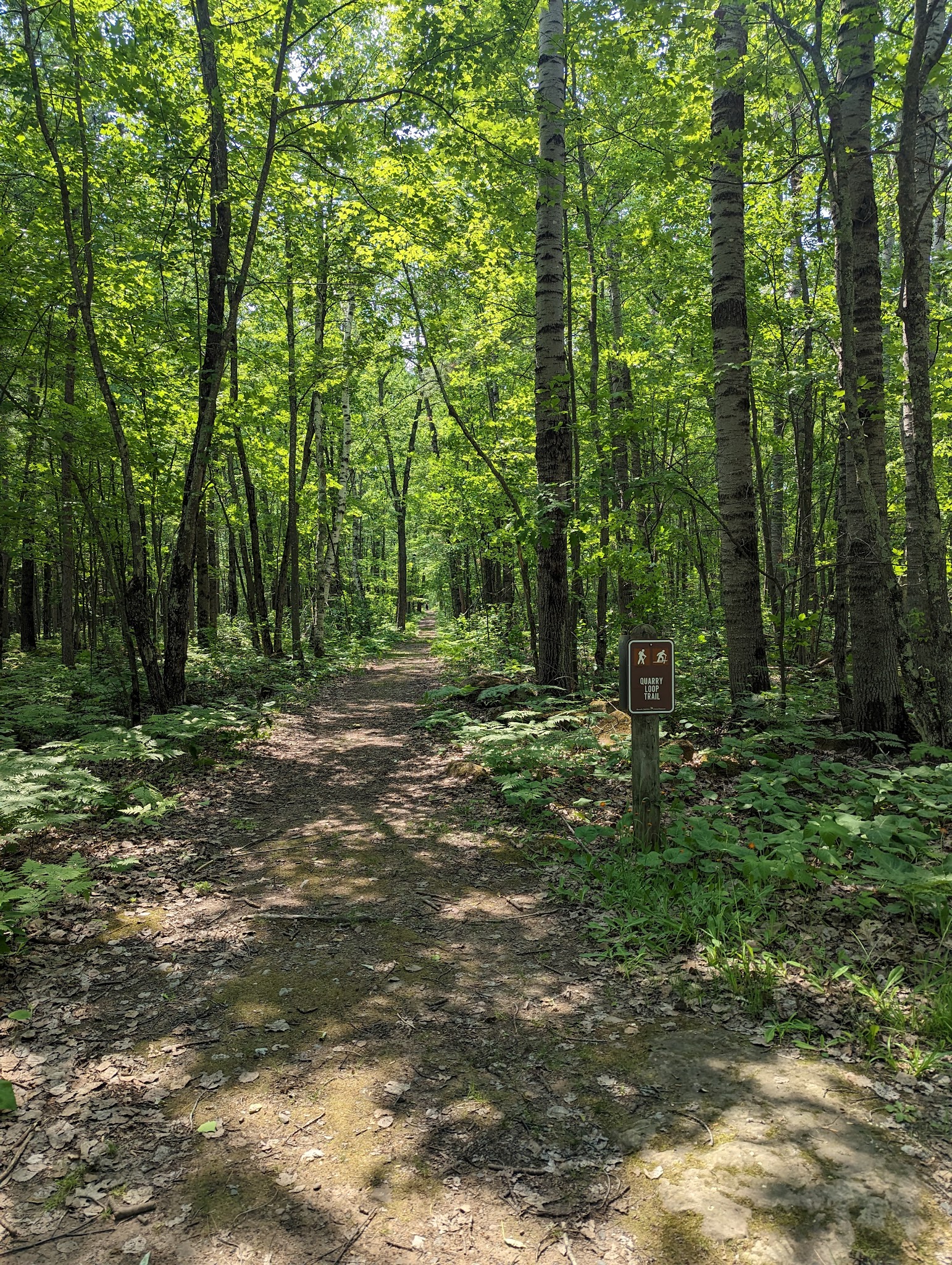Moose Lake Campground