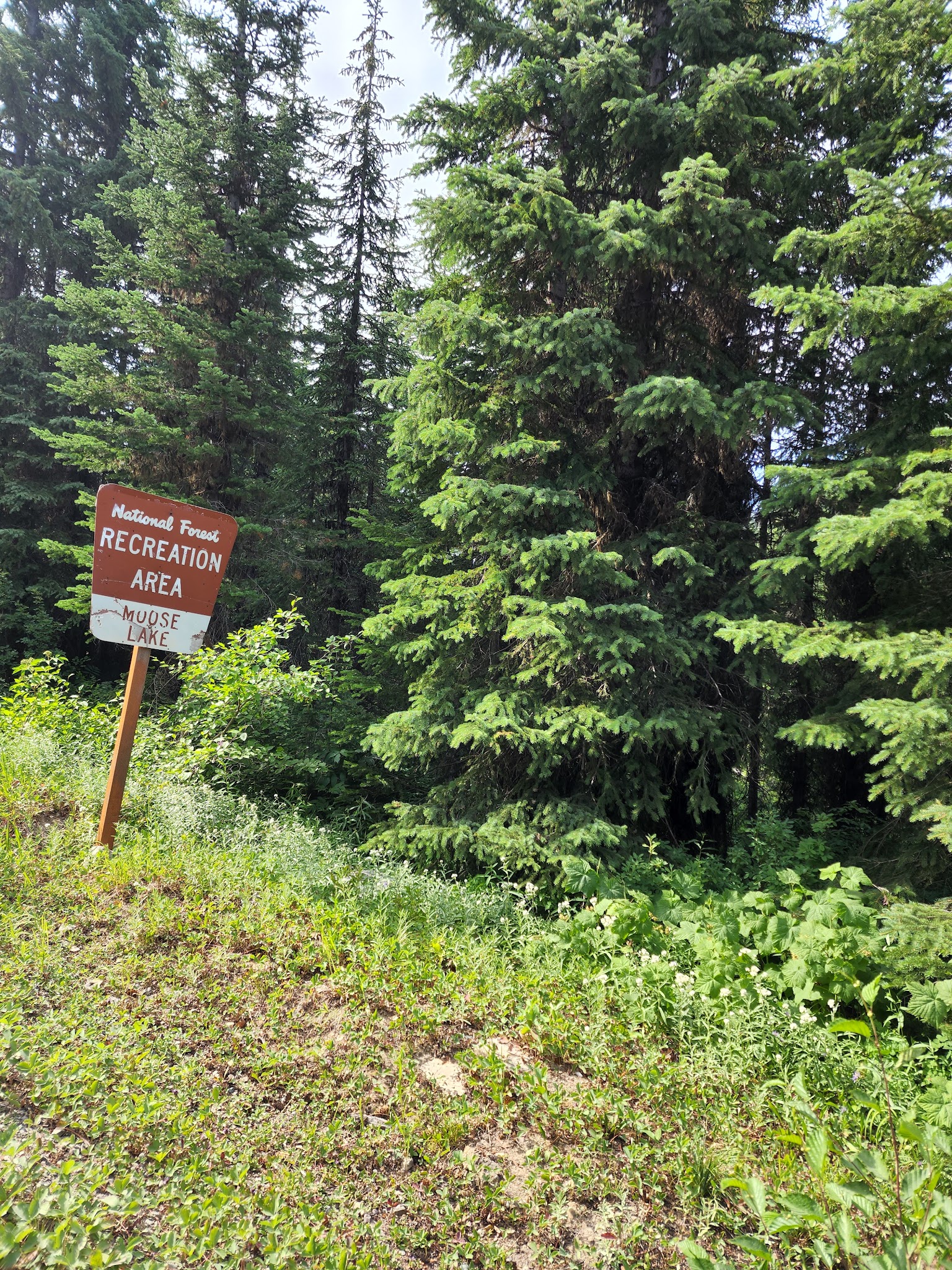 Moose Lake Campground