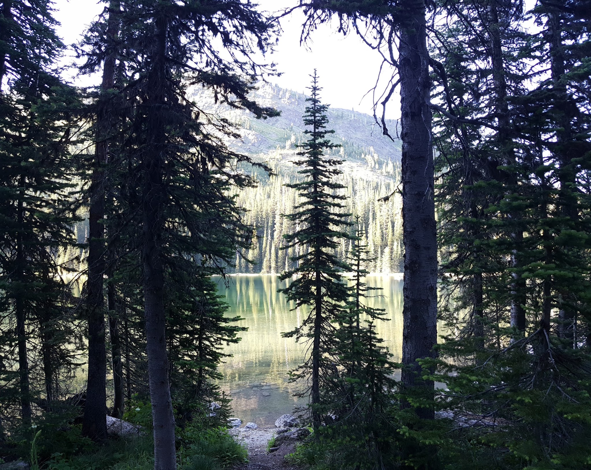 Moose Lake Campground