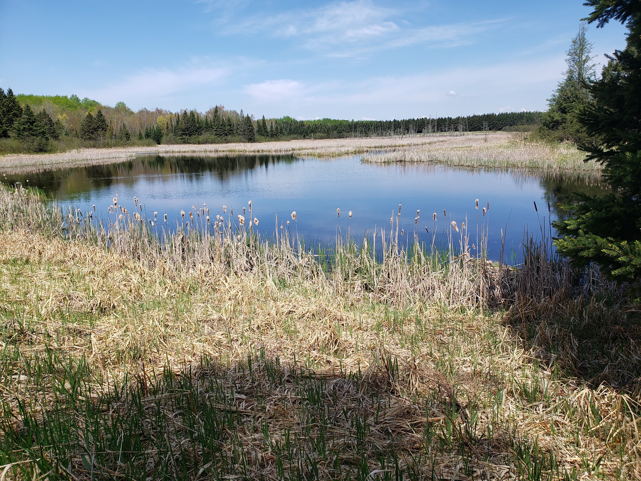 Moose Lake Campground