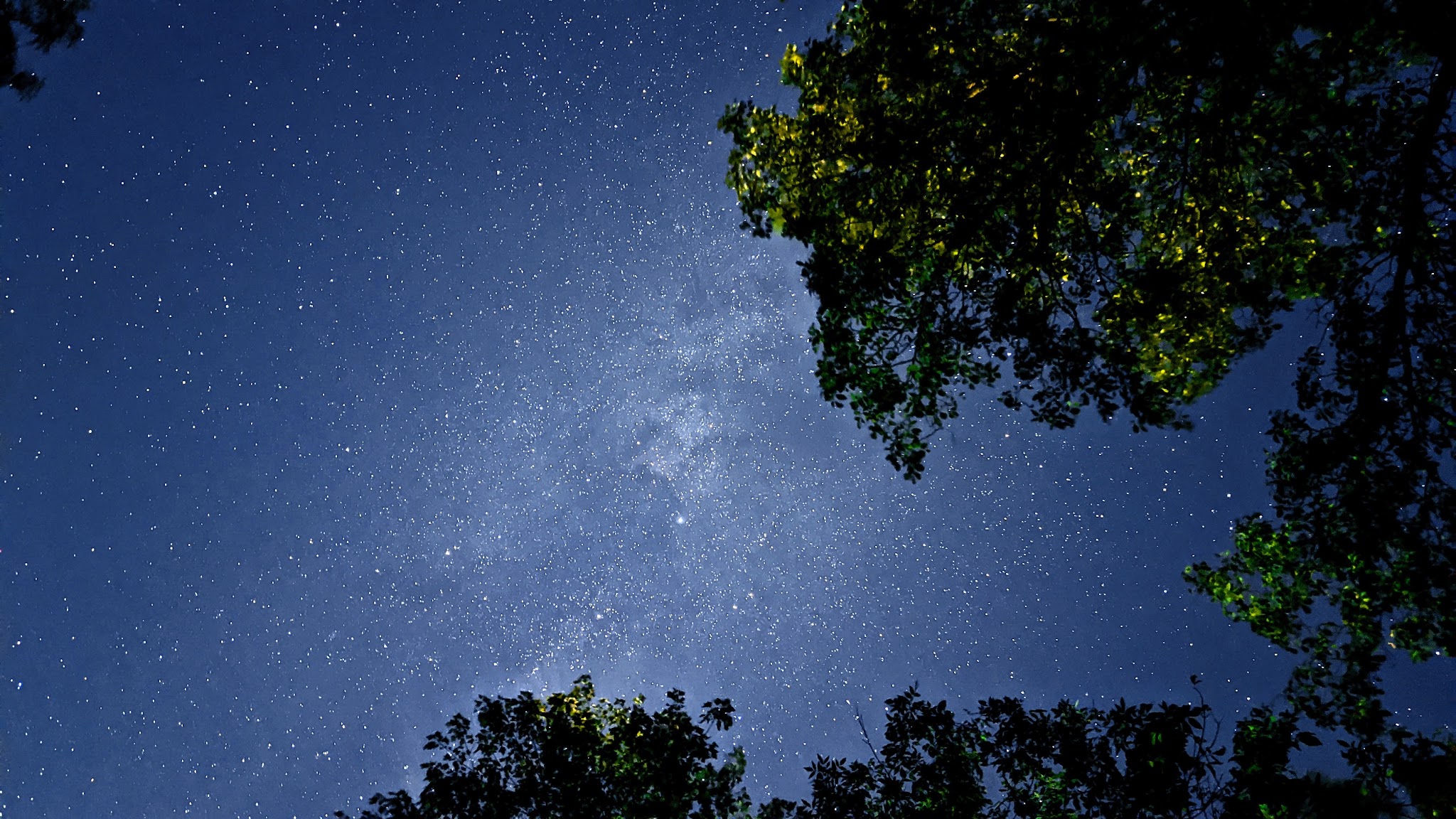 Moose Lake Campground