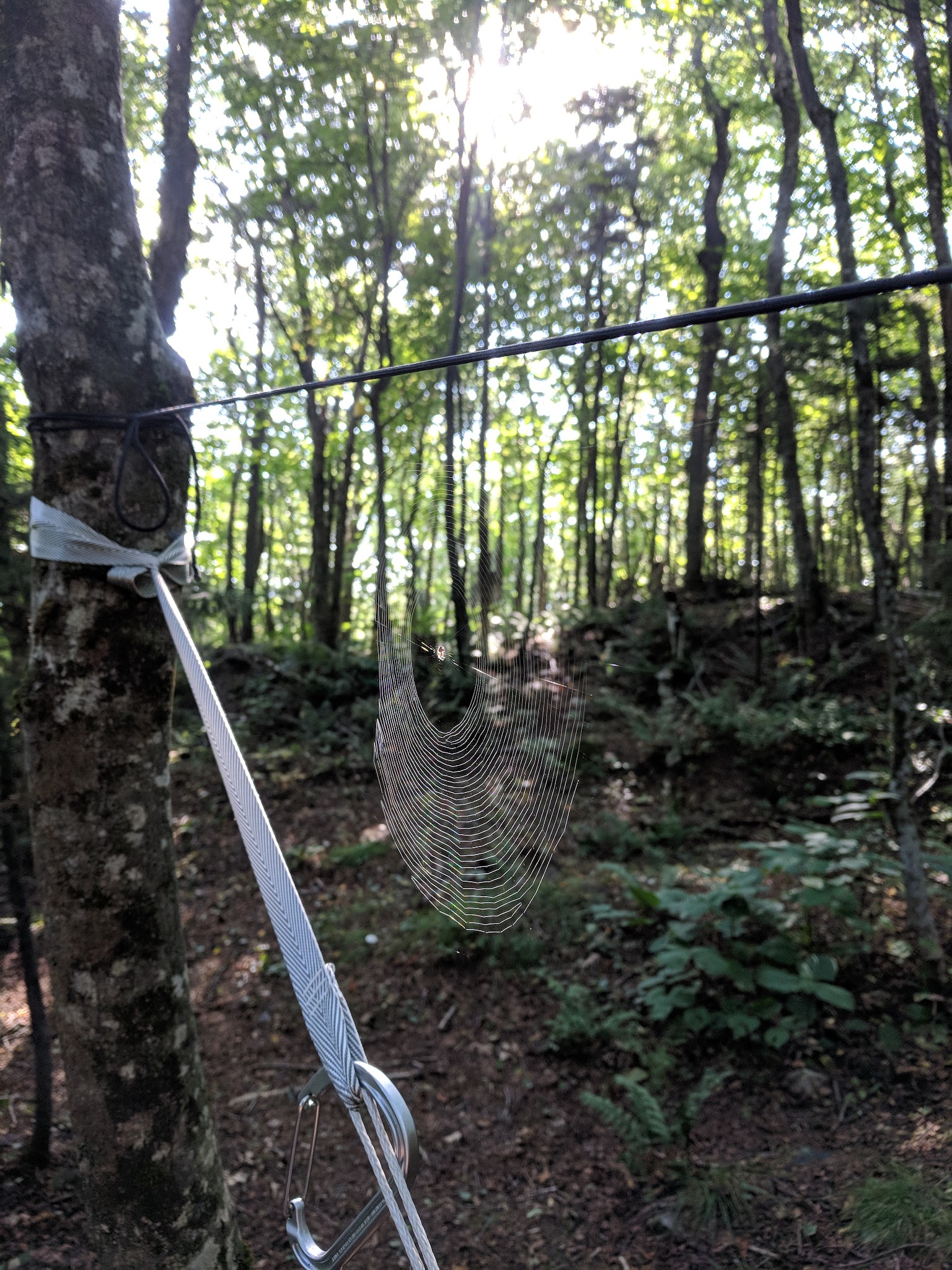 Moose Mountain Shelter