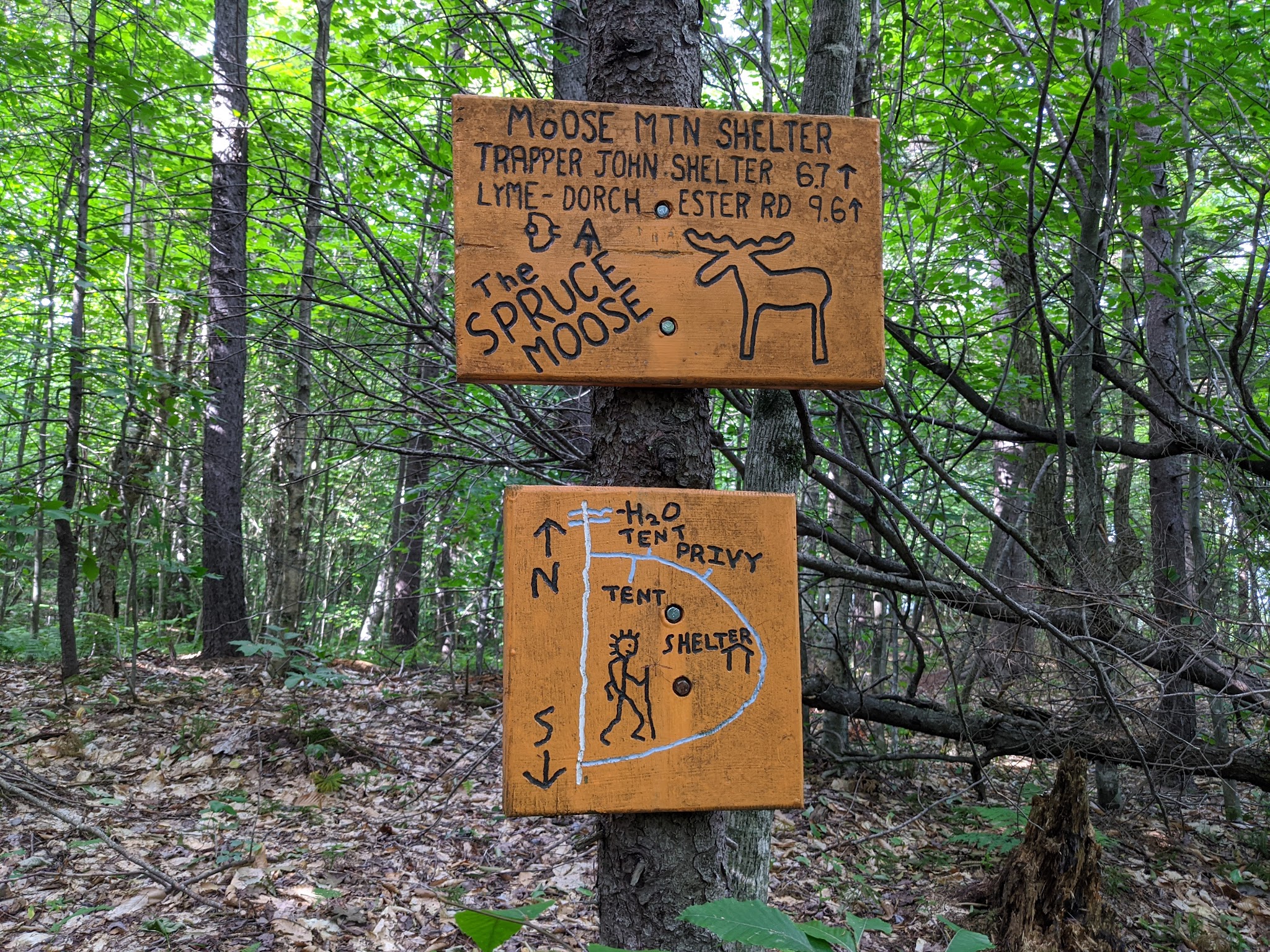 Moose Mountain Shelter