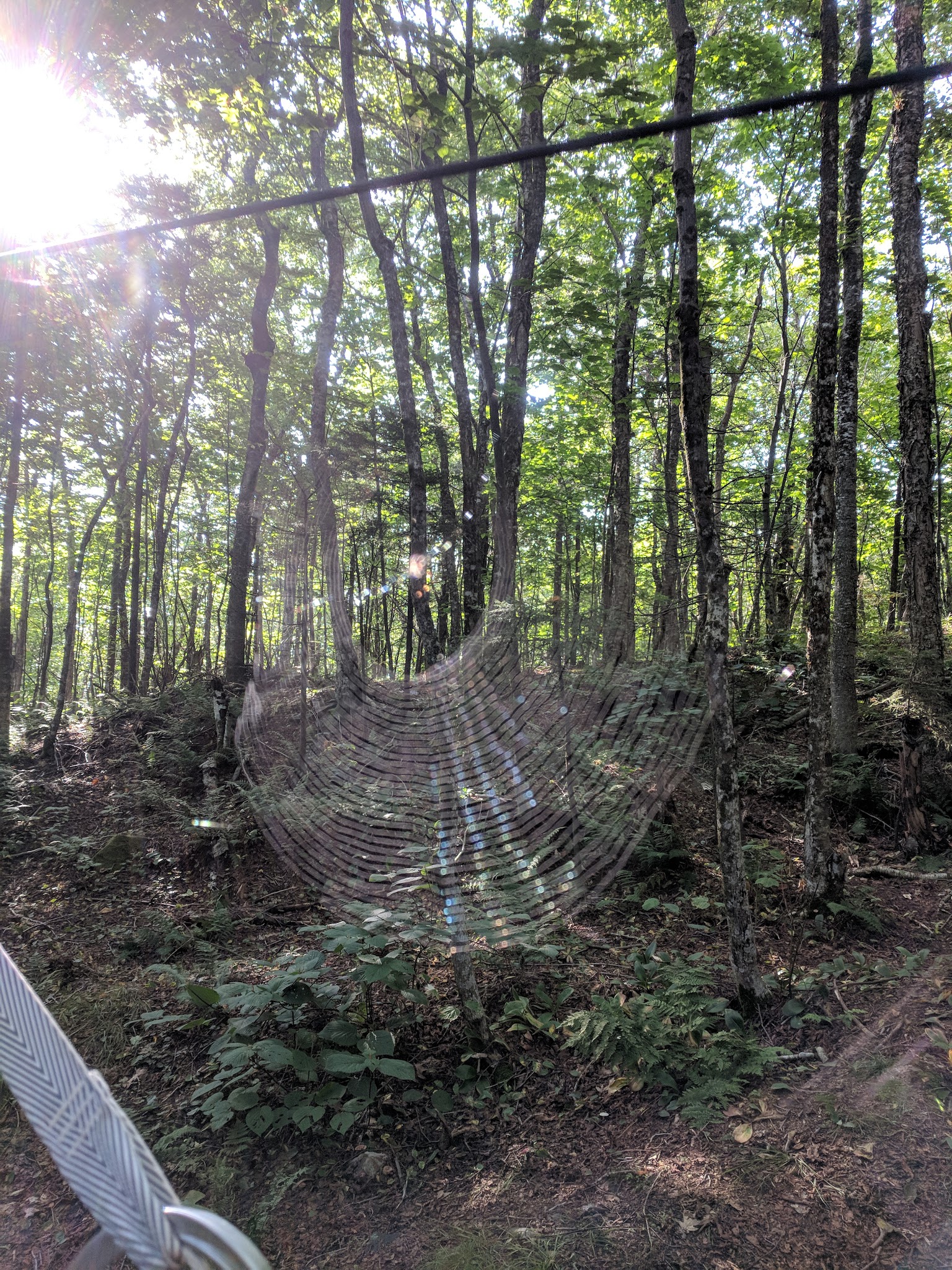 Moose Mountain Shelter