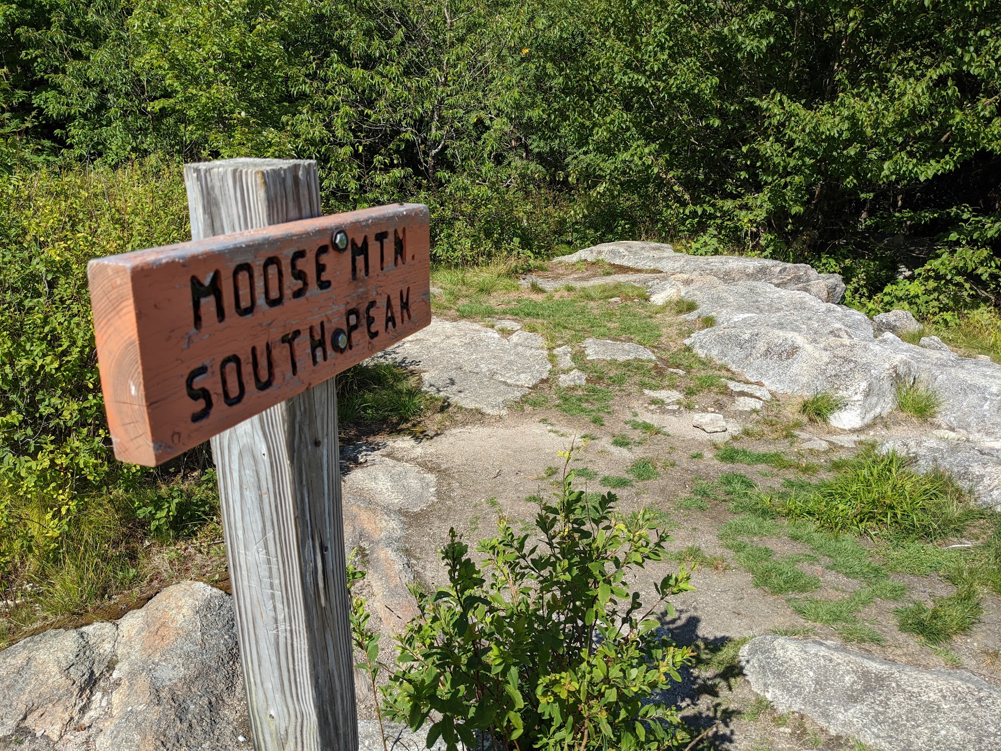 Moose Mountain Shelter