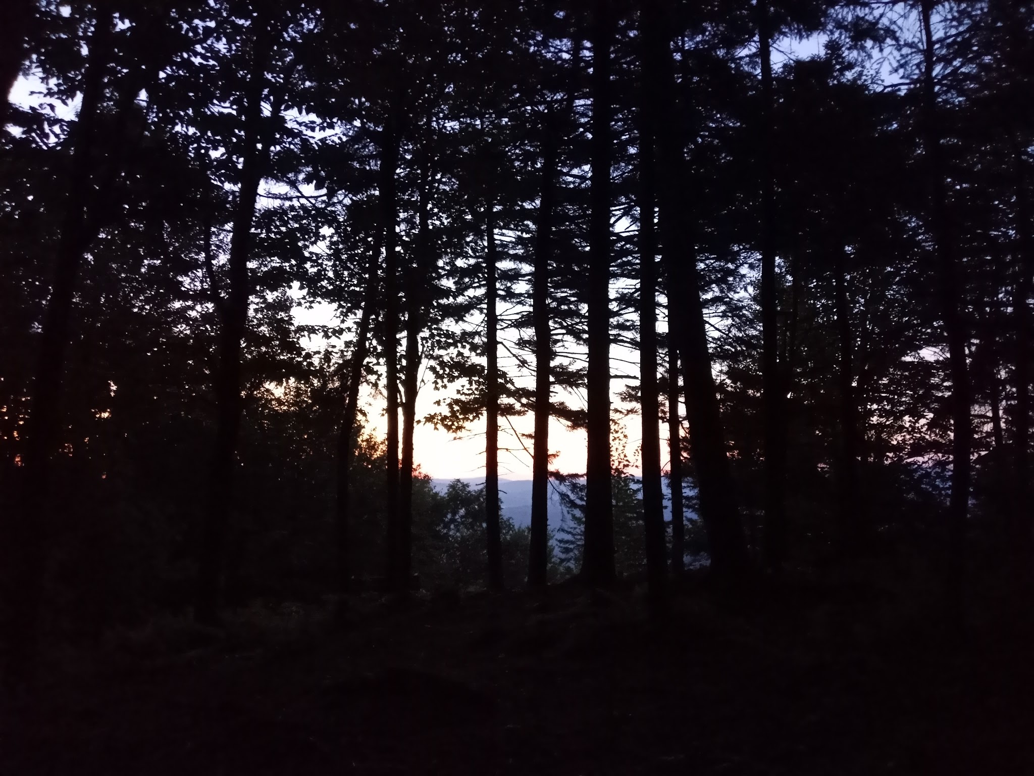 Moose Mountain Shelter