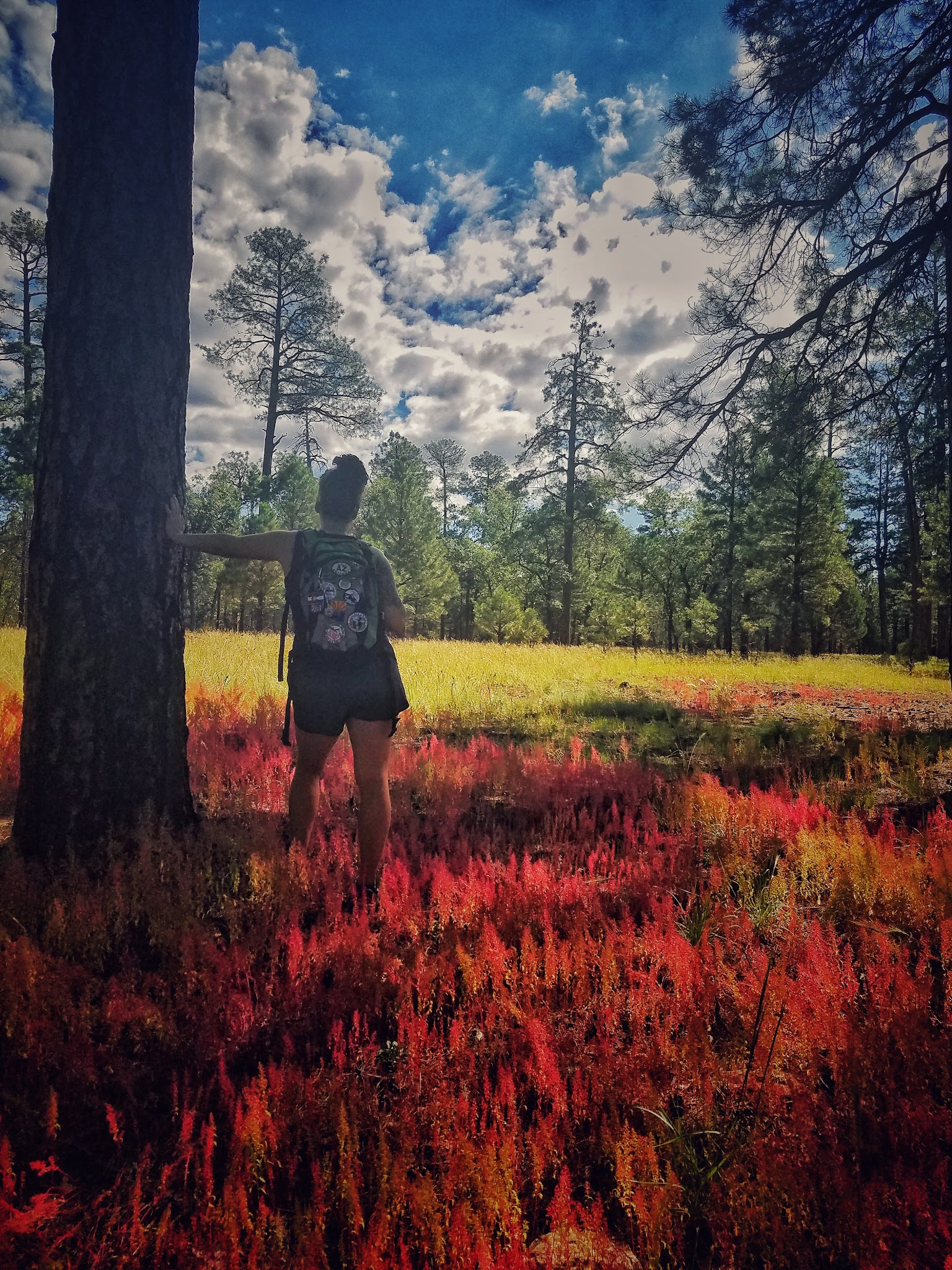 Hidden gem campgrounds in Arizona