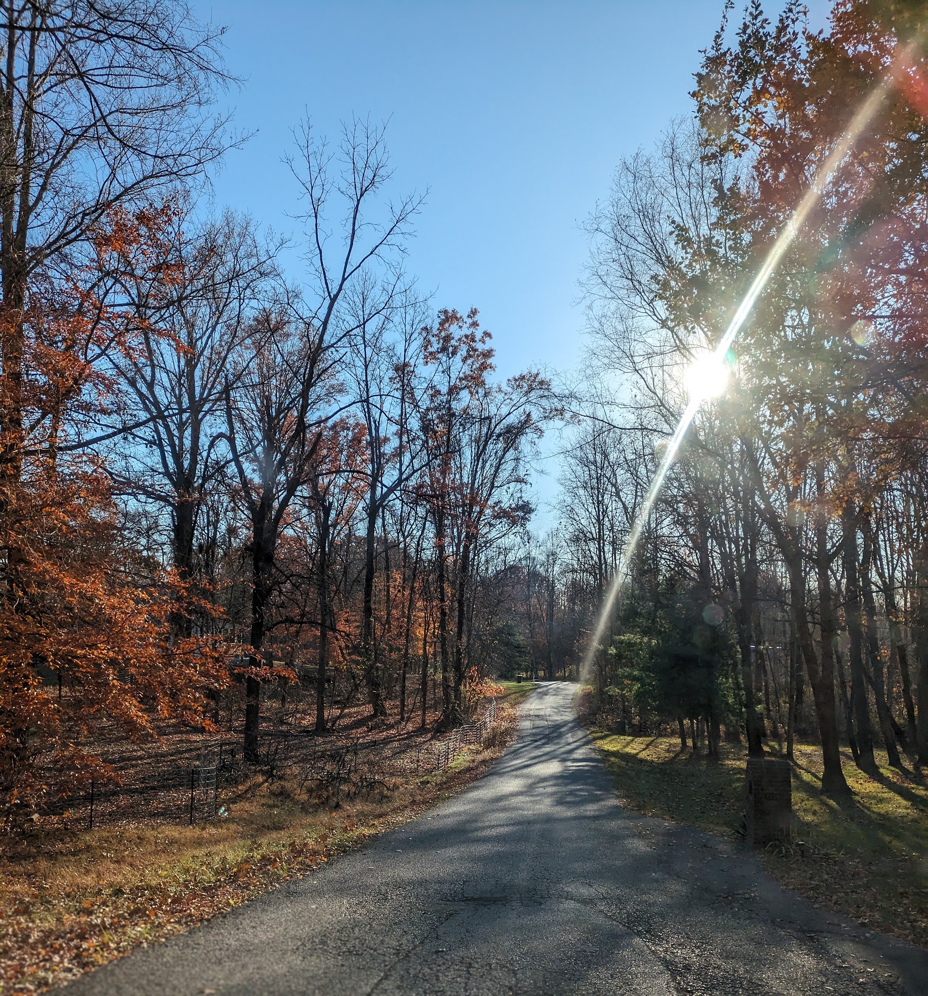 Morgan-Monroe State Forest