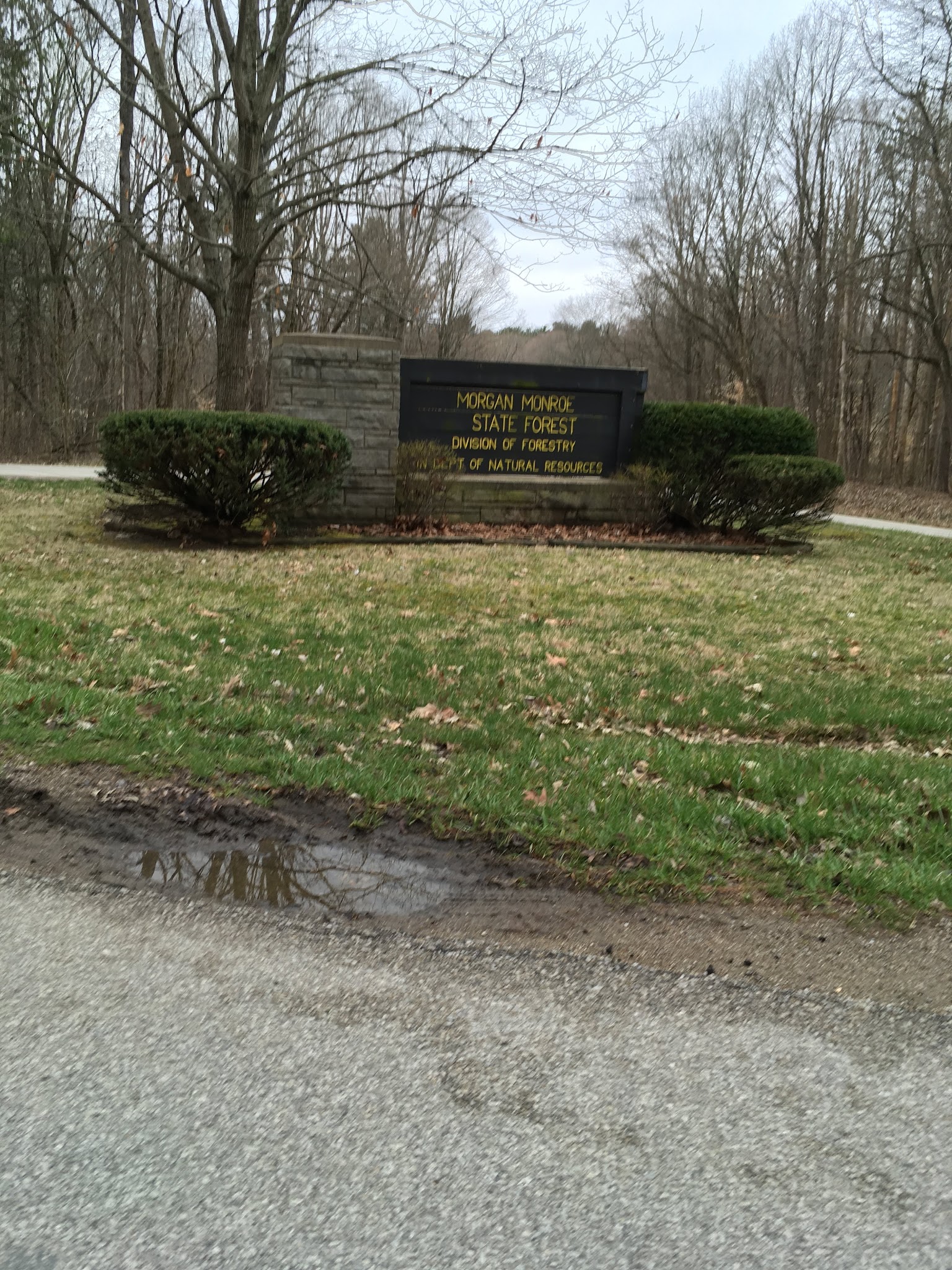 Morgan-Monroe State Forest